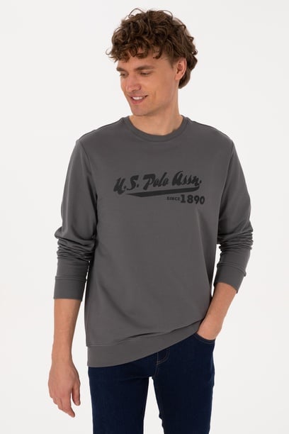 Erkek Bisiklet Yaka Regular Fit Gri İnce Sweatshirt