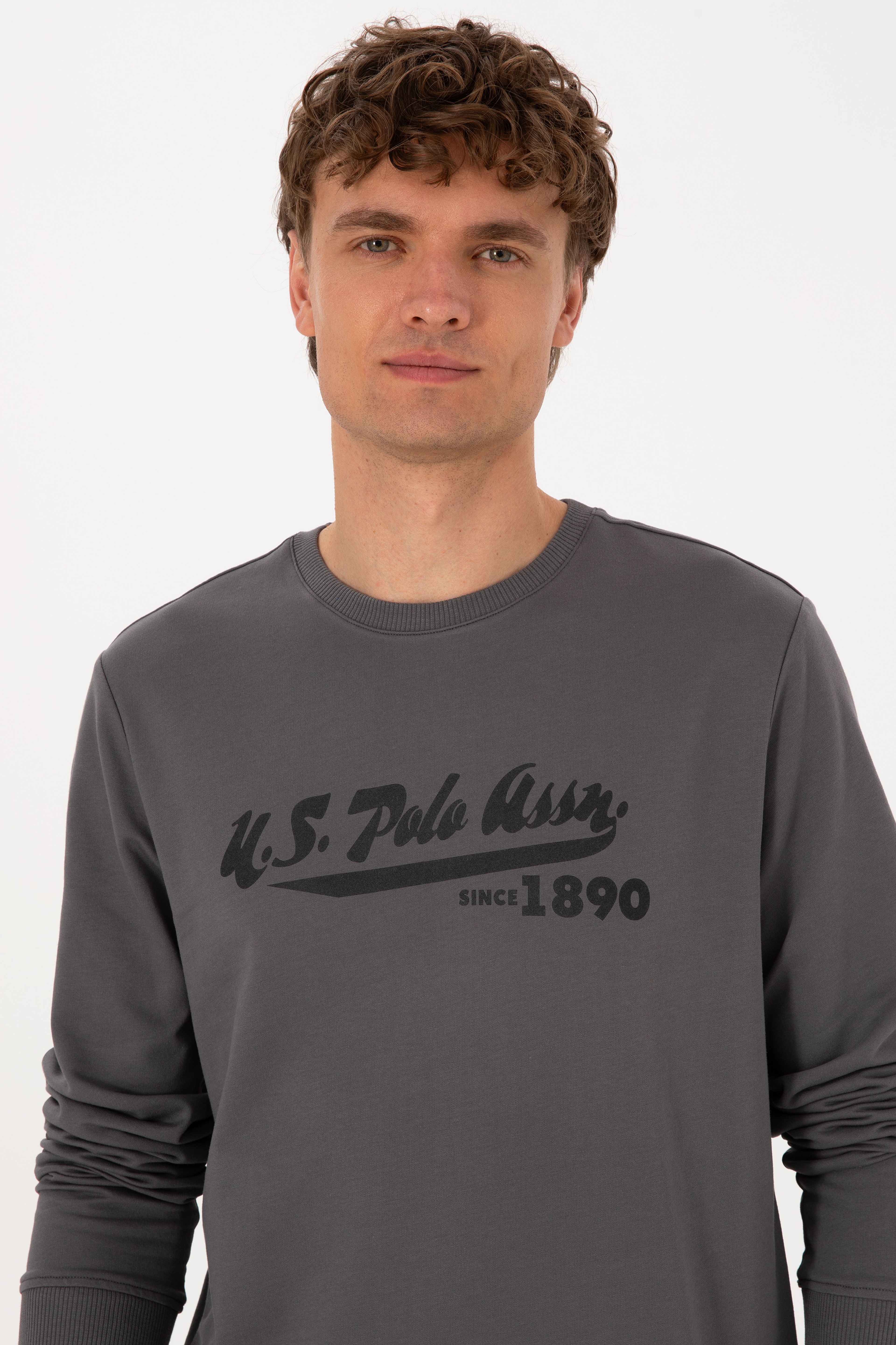 Erkek Bisiklet Yaka Regular Fit Gri İnce Sweatshirt - Image 2