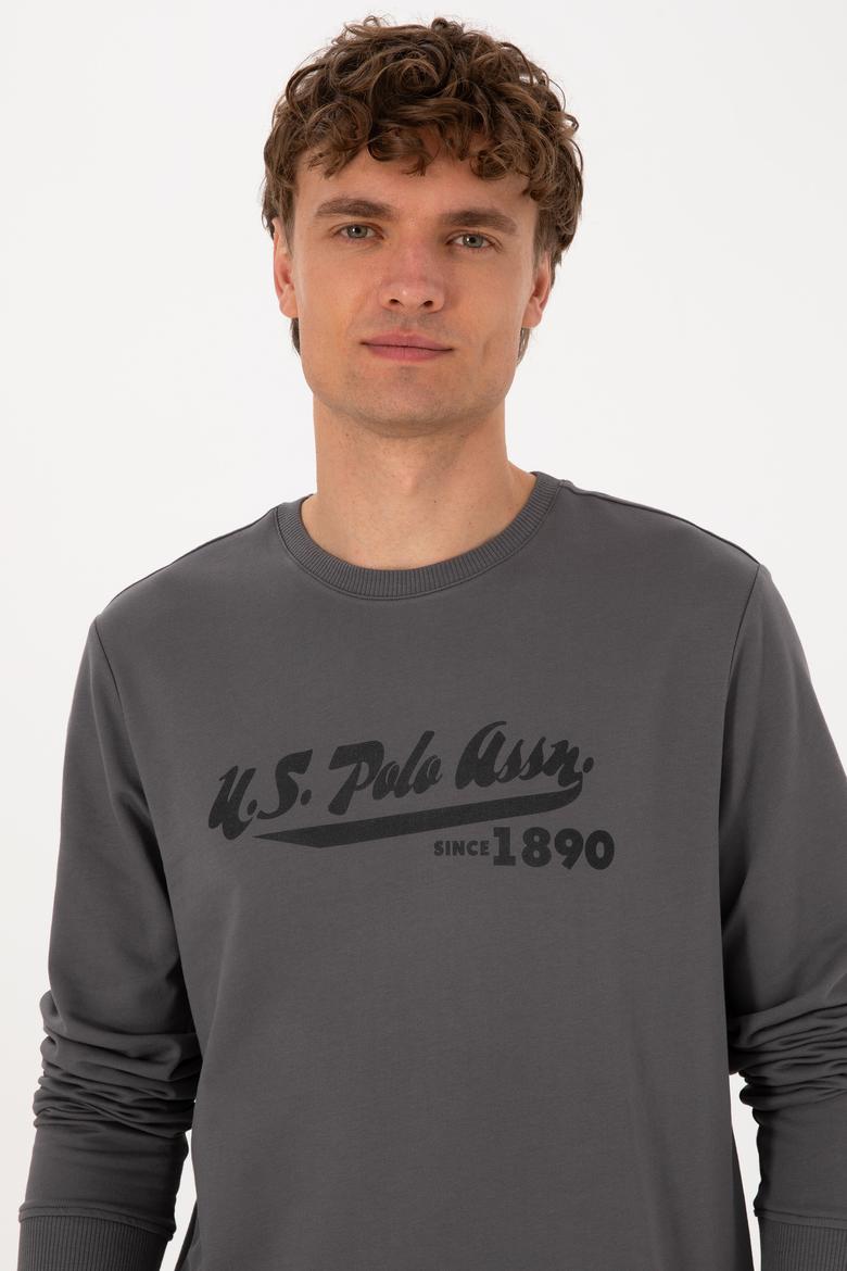 Erkek Bisiklet Yaka Regular Fit Gri İnce Sweatshirt - 50316315019