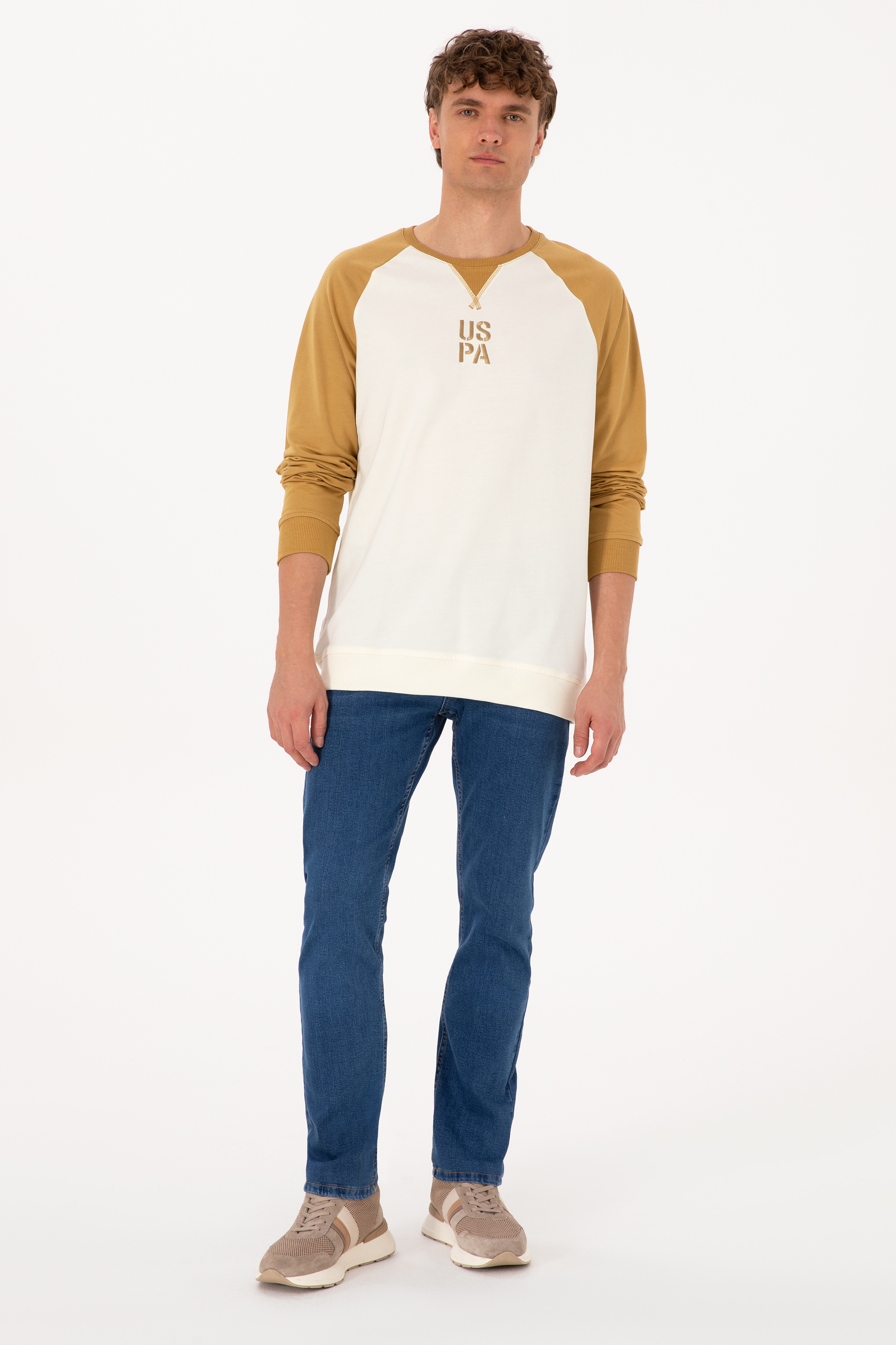 Erkek Bisiklet Yaka Regular Fit Haki İnce Sweatshirt - Image 4
