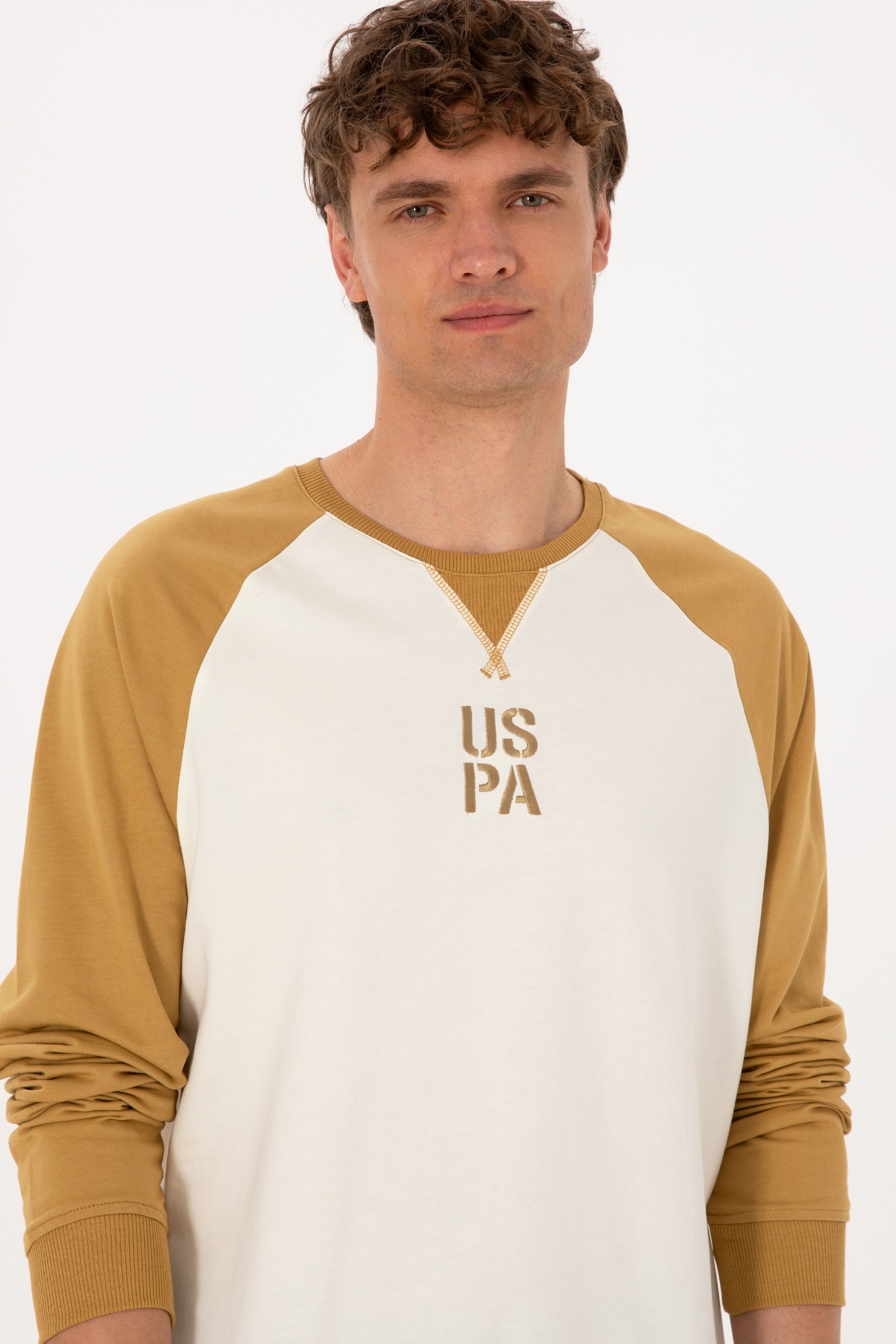 Erkek Bisiklet Yaka Regular Fit Haki İnce Sweatshirt