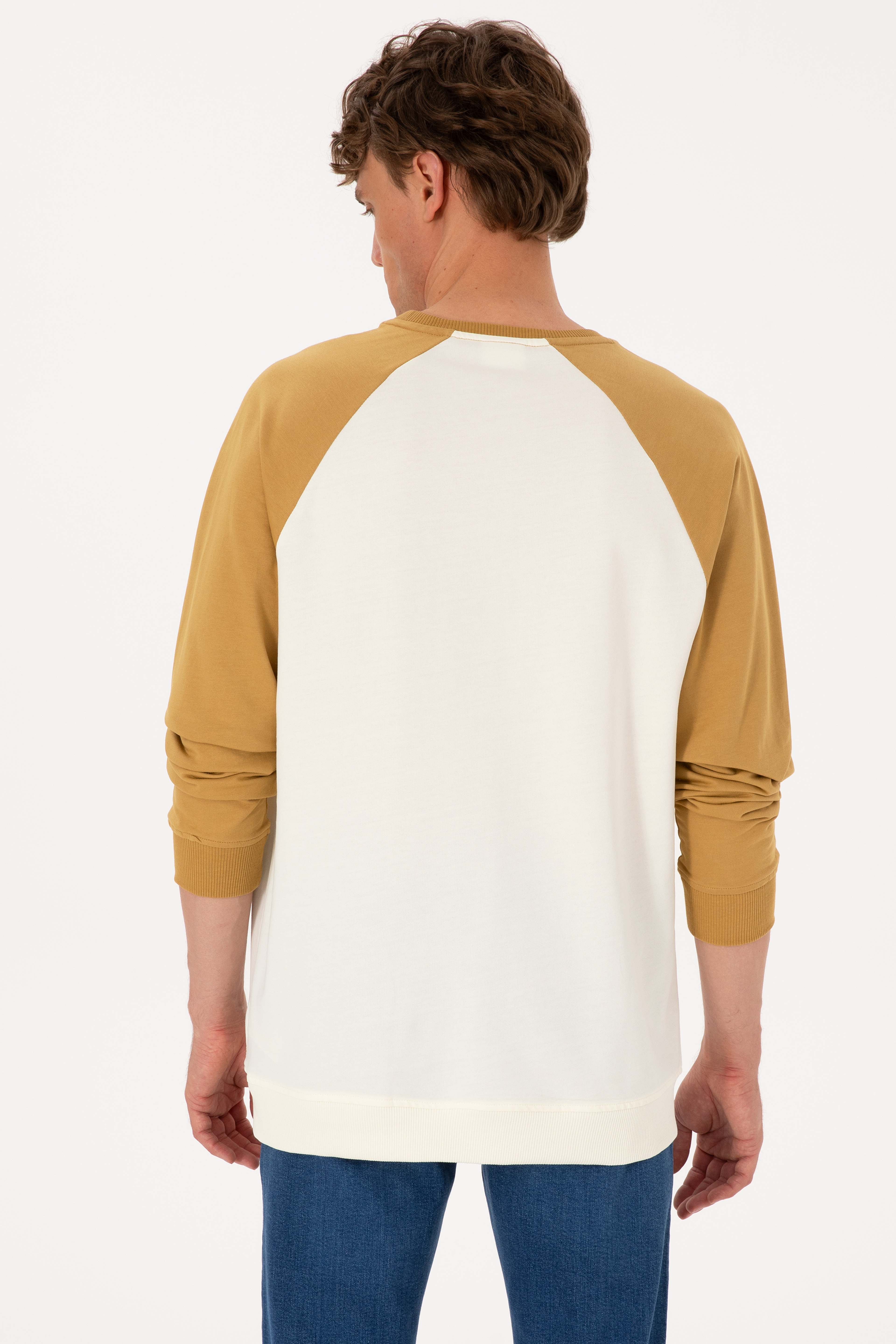 Erkek Bisiklet Yaka Regular Fit Haki İnce Sweatshirt - Image 5