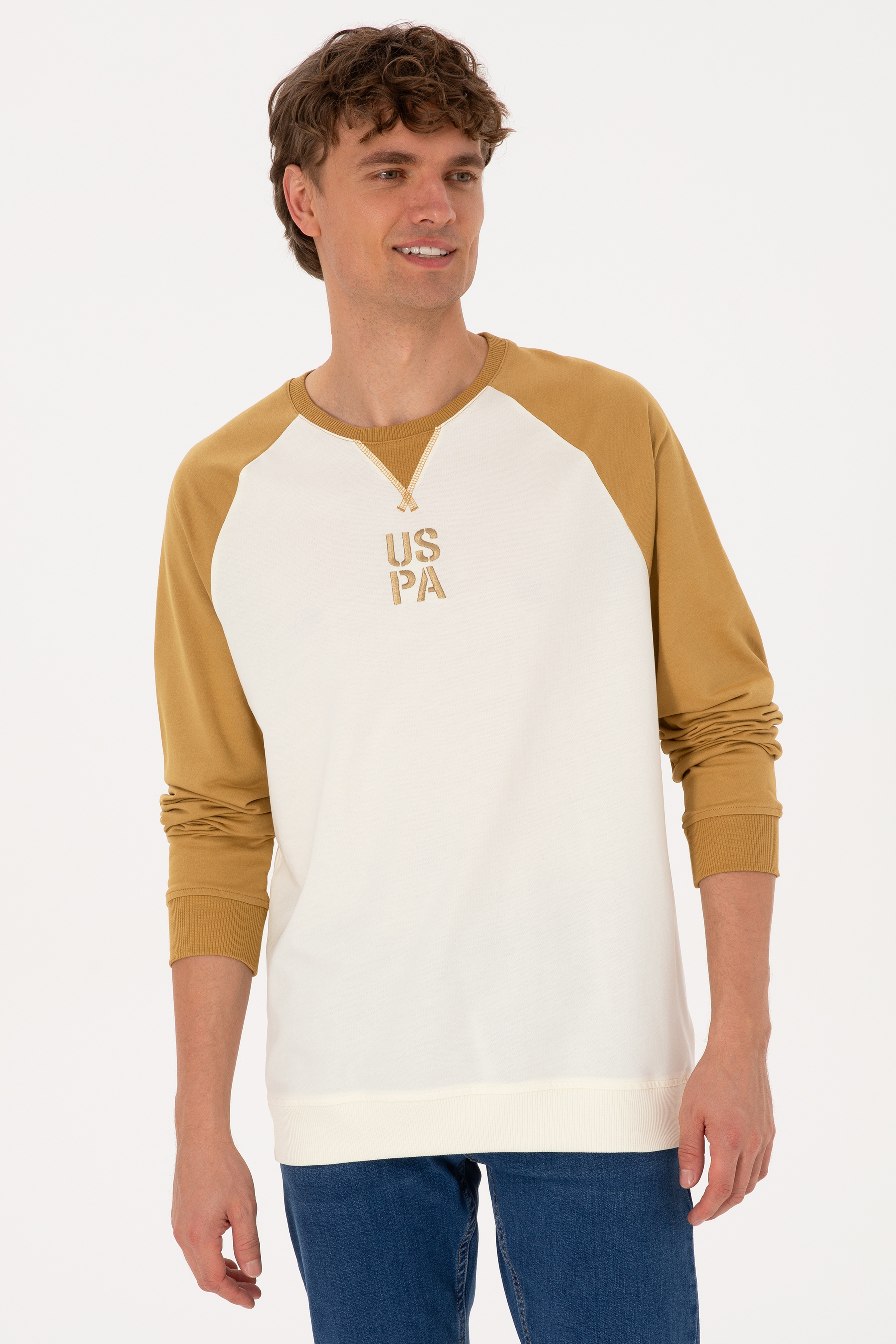 Erkek Bisiklet Yaka Regular Fit Haki İnce Sweatshirt - Image 3