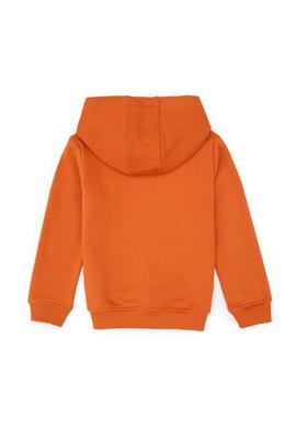 Erkek Çocuk Bakır Basic Kapüşonlu Sweatshirt - 50308442031