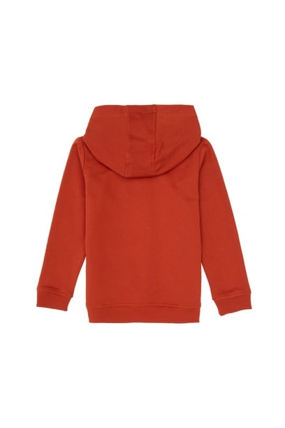 Erkek Çocuk Kiremit Basic Kapüşonlu Sweatshirt