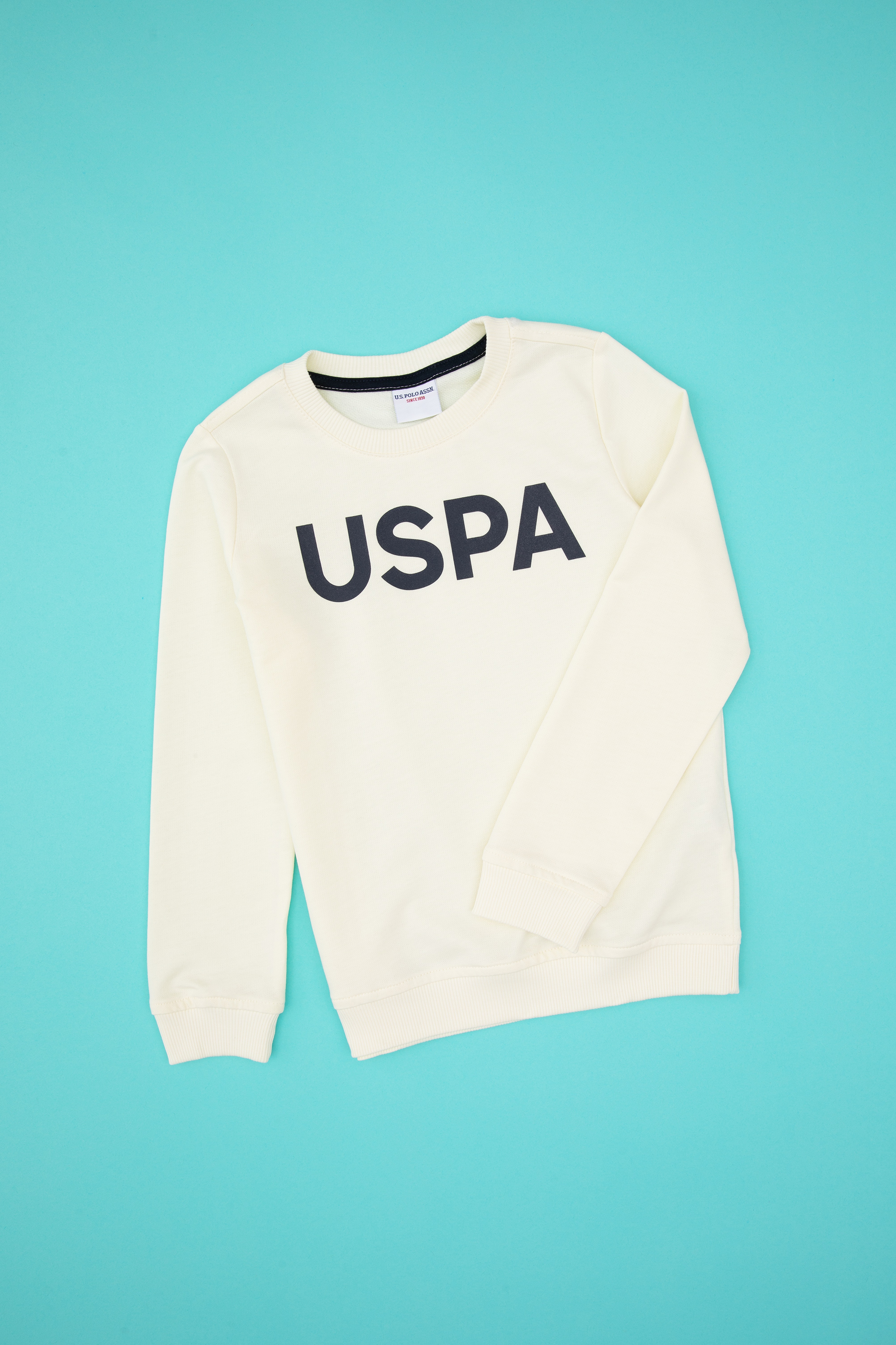 Erkek Çocuk Krem Basic Bisiklet Yaka Sweatshirt - Image 1