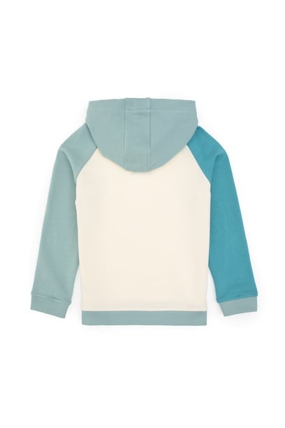 Erkek Çocuk Mint Kapüşonlu Sweatshirt