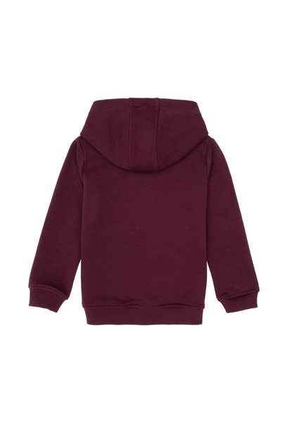 Erkek Çocuk Bordo Basic Kapüşonlu Sweatshirt