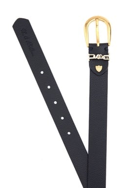 LACIVERT
