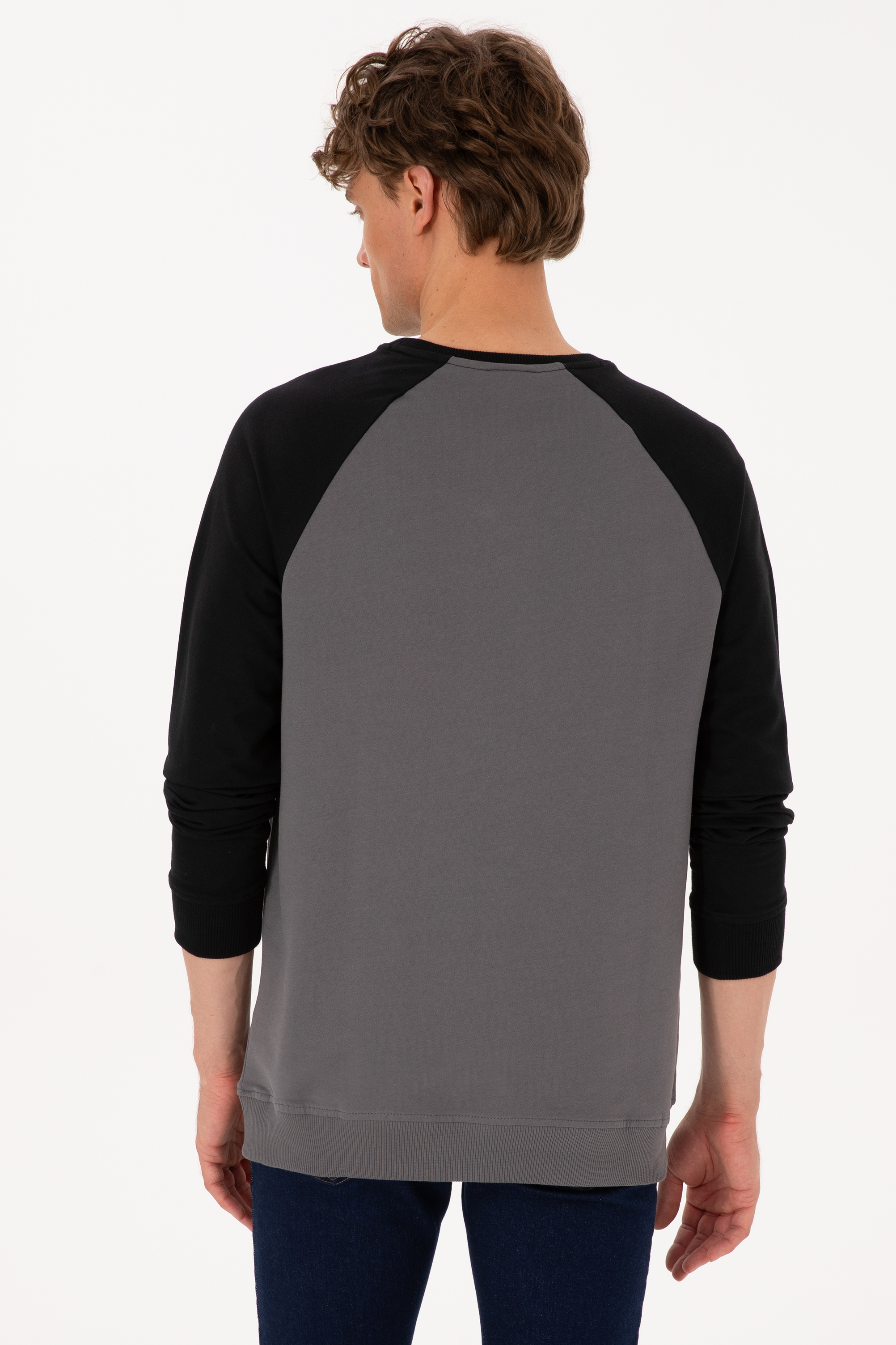 Erkek Bisiklet Yaka Regular Fit Siyah İnce Sweatshirt - Image 5