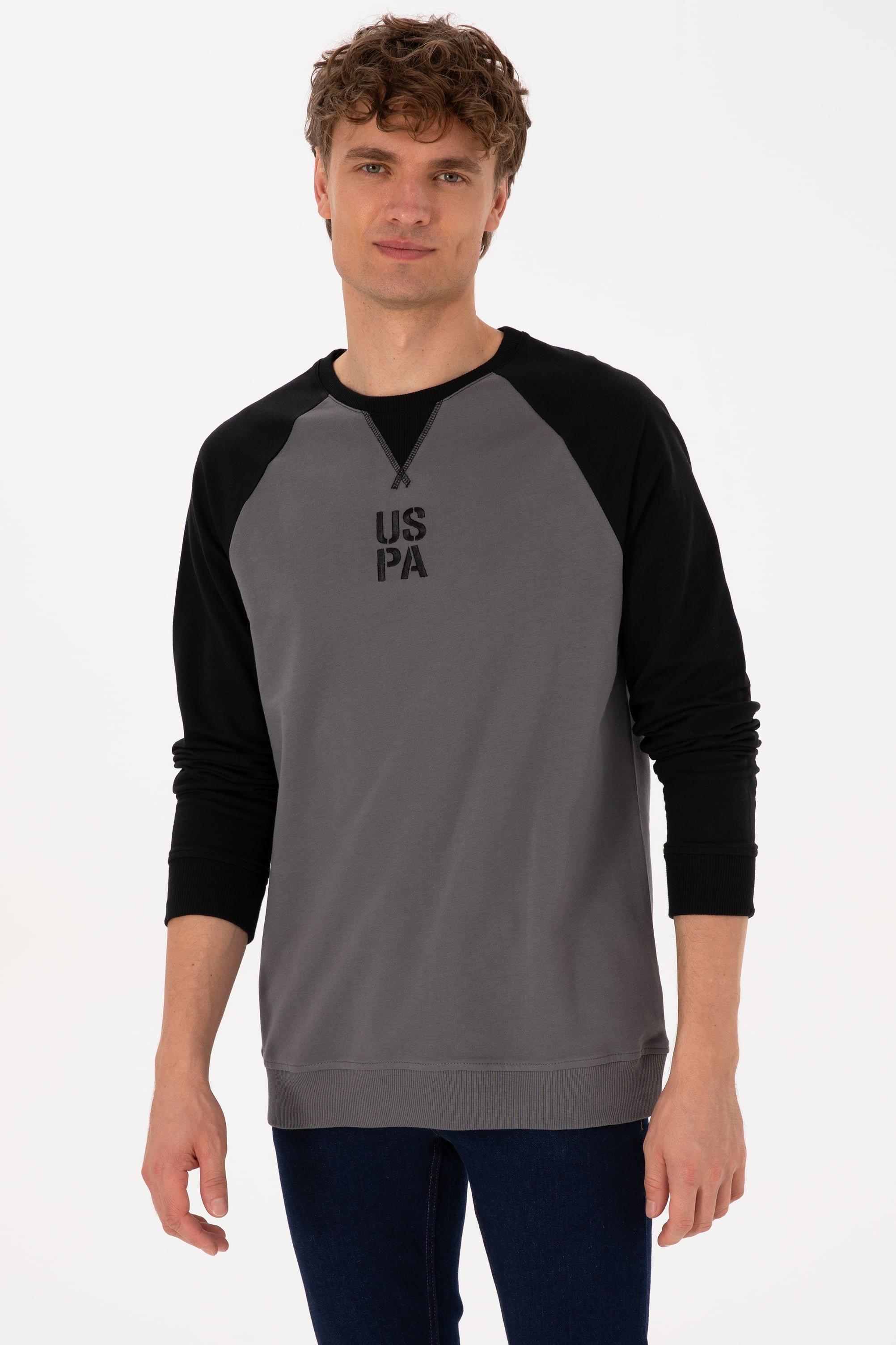 Erkek Bisiklet Yaka Regular Fit Siyah İnce Sweatshirt - Image 3