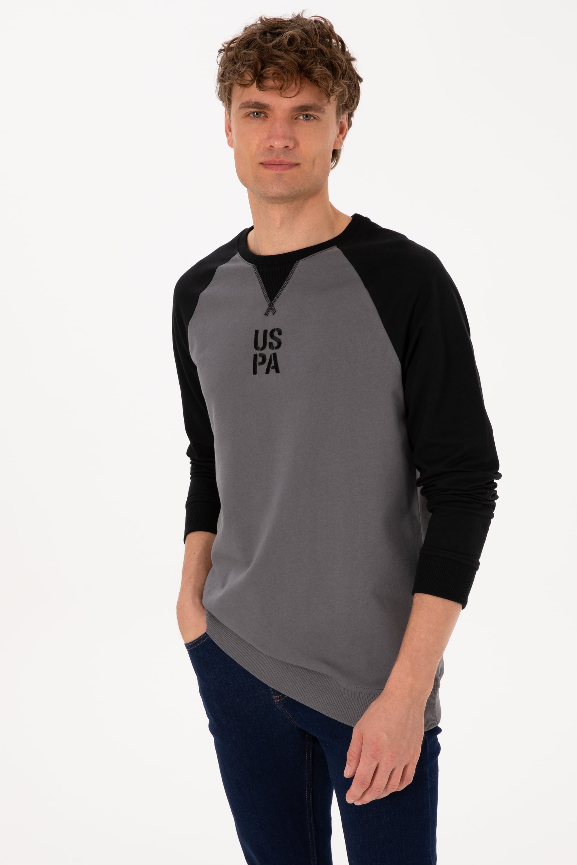 Erkek Bisiklet Yaka Regular Fit Siyah İnce Sweatshirt - Image 1