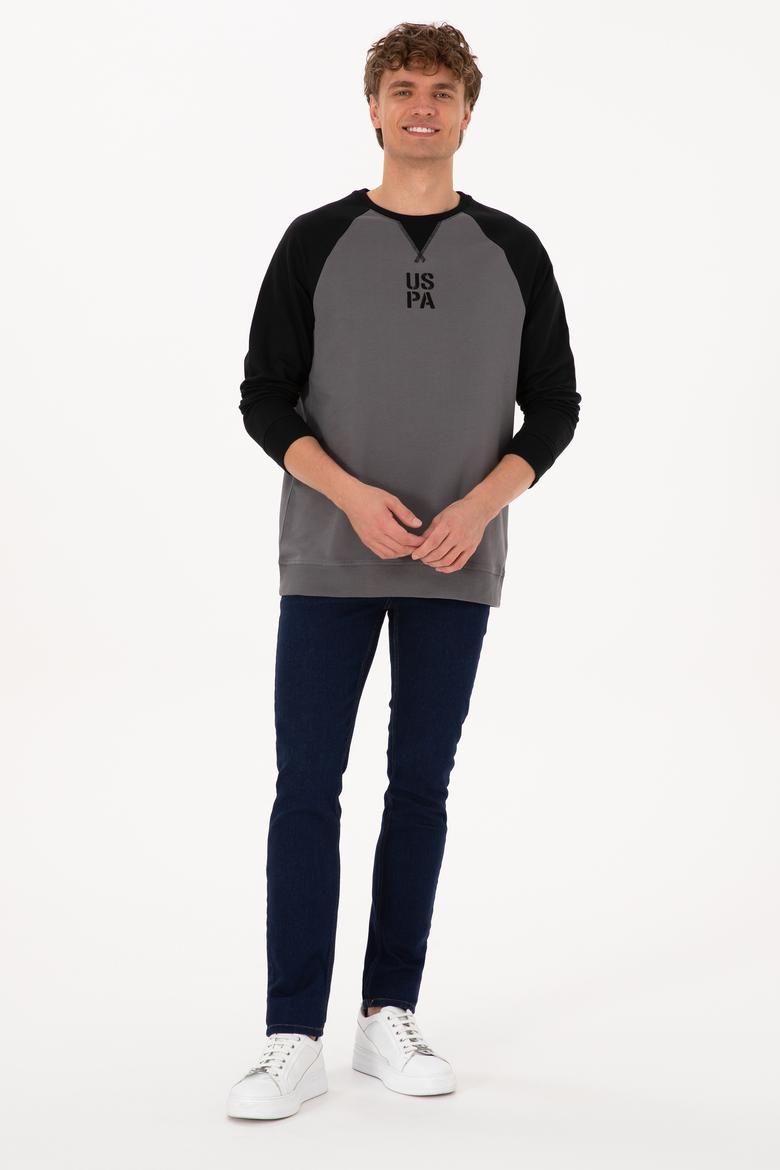 Erkek Bisiklet Yaka Regular Fit Siyah İnce Sweatshirt - 50315420037