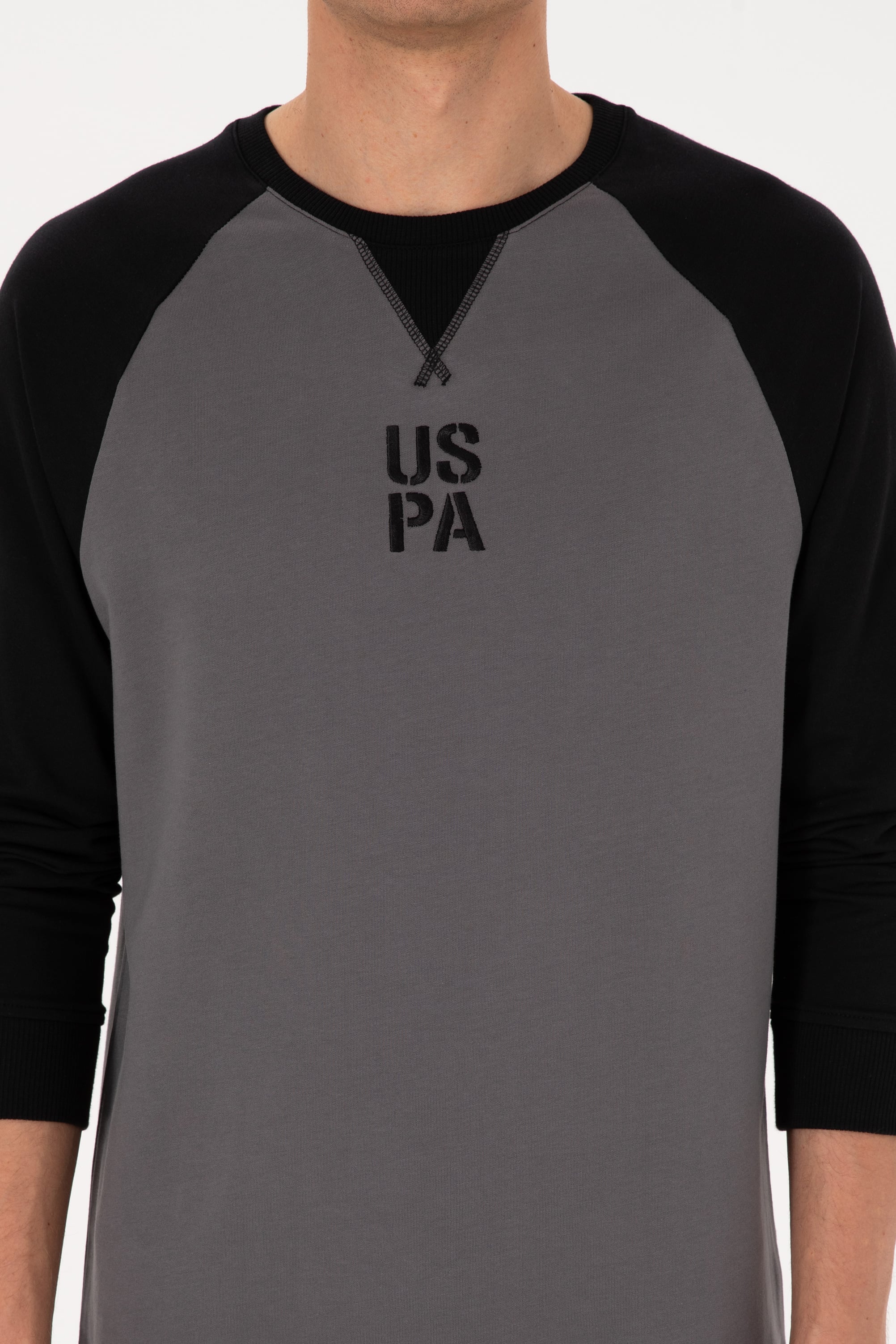 Erkek Bisiklet Yaka Regular Fit Siyah İnce Sweatshirt - Image 6
