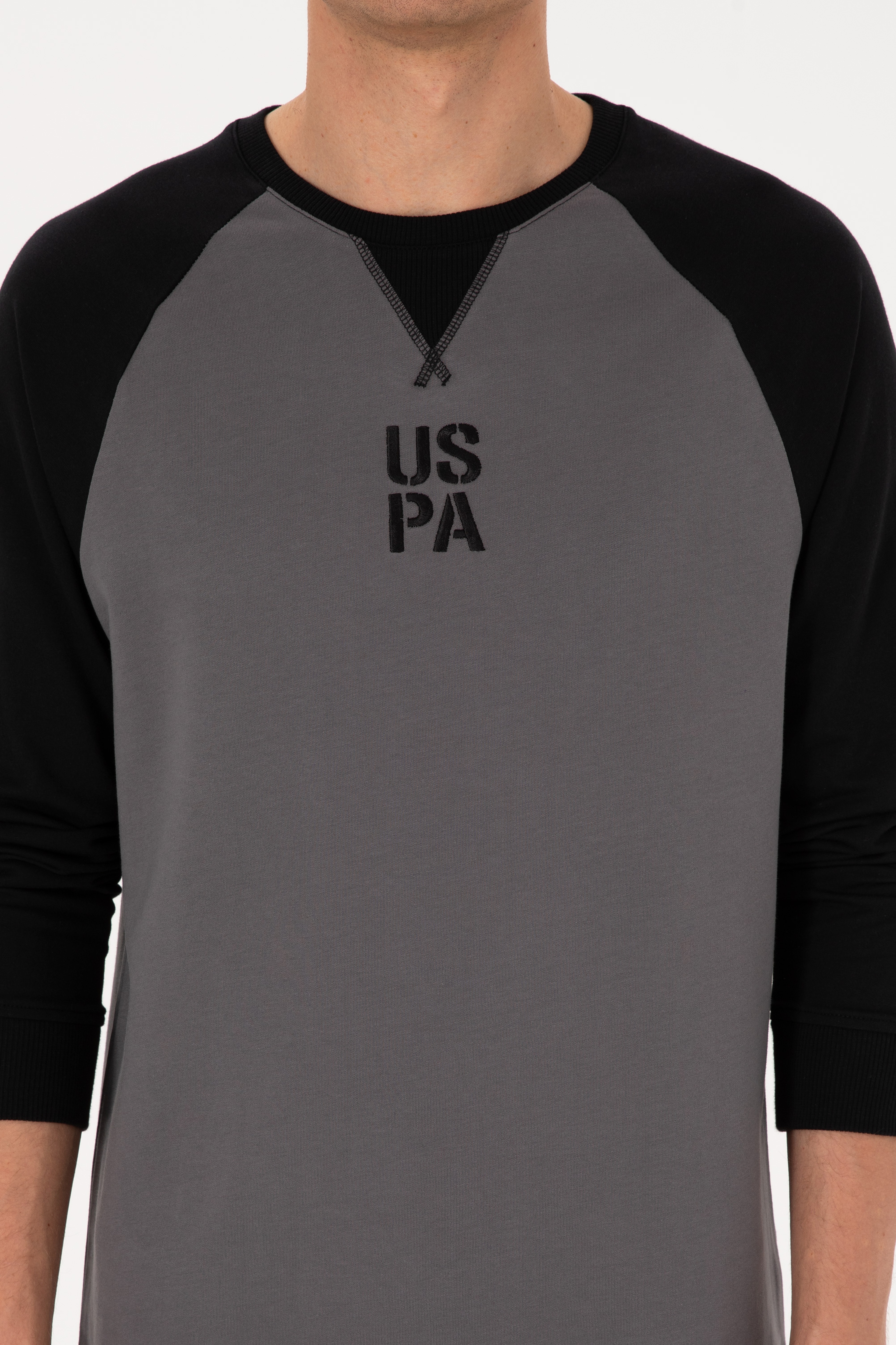 Erkek Bisiklet Yaka Regular Fit Siyah İnce Sweatshirt