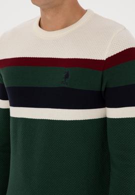 Erkek Slim Fit Bisiklet Yaka Koyu Yeşil Kazak - 50308234023