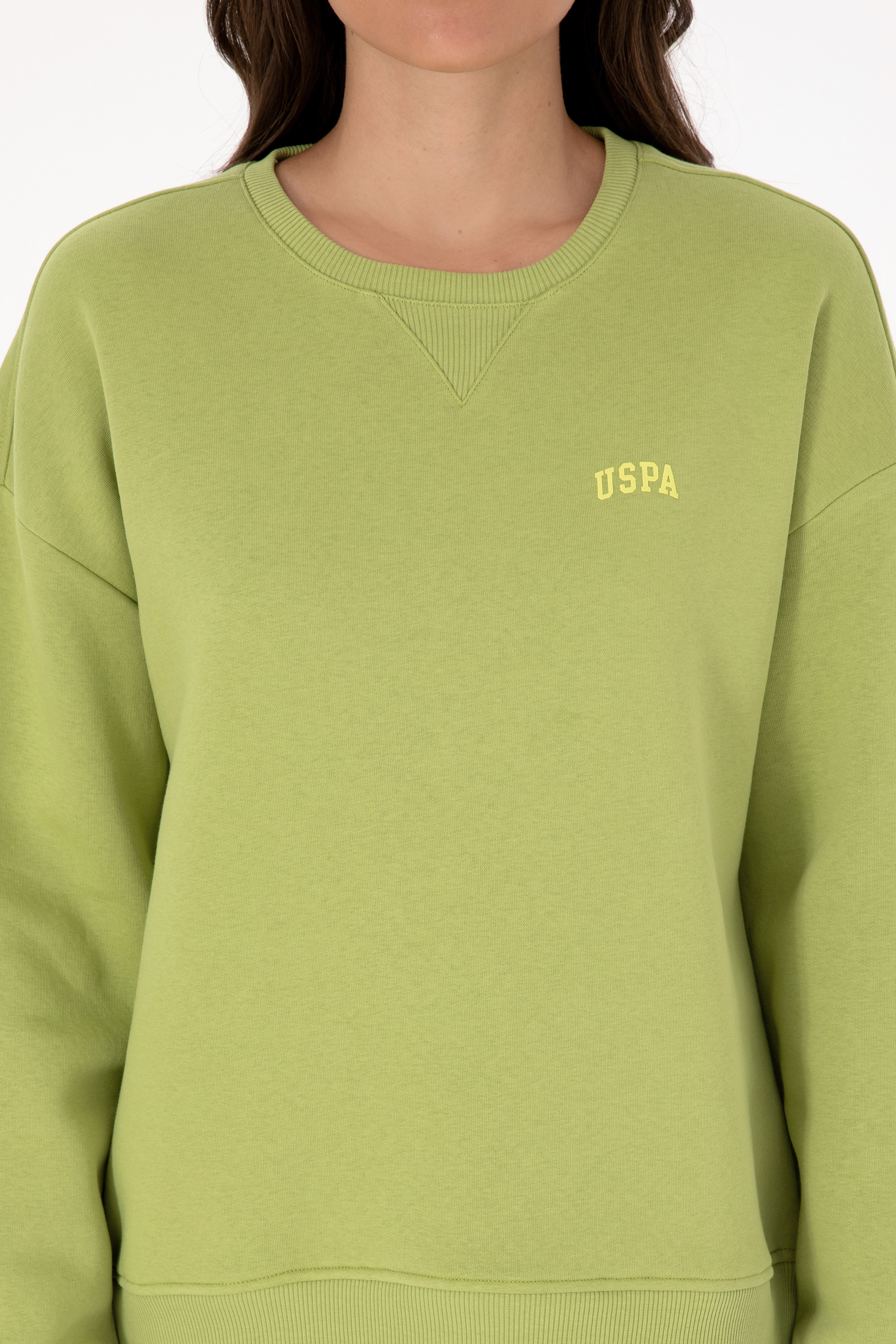 Kadın Fıstık Yeşili Şardonlu Bisiklet Yaka Basic Sweatshırt