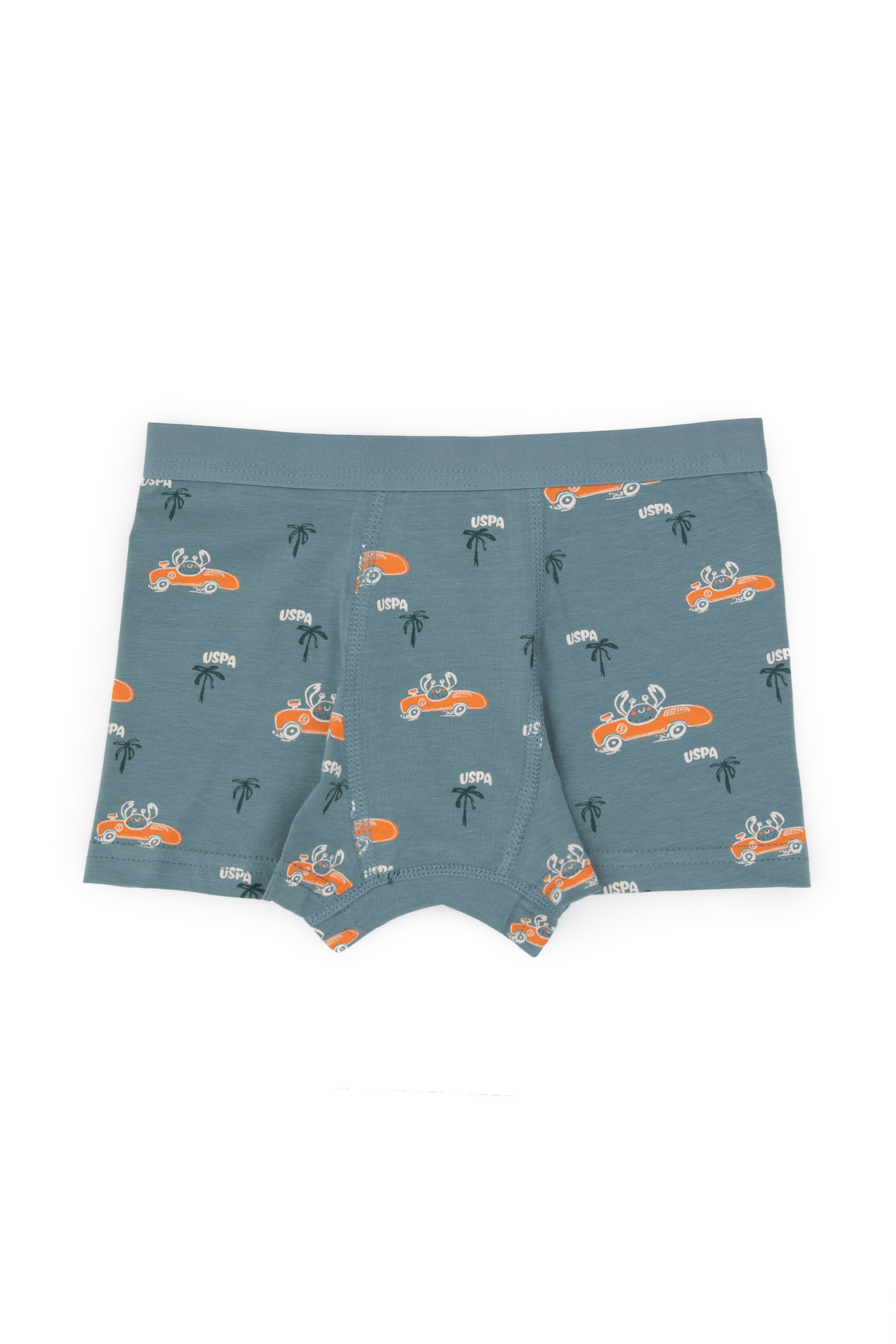Erkek Çocuk 3'lü Boxer Takım - Image 4