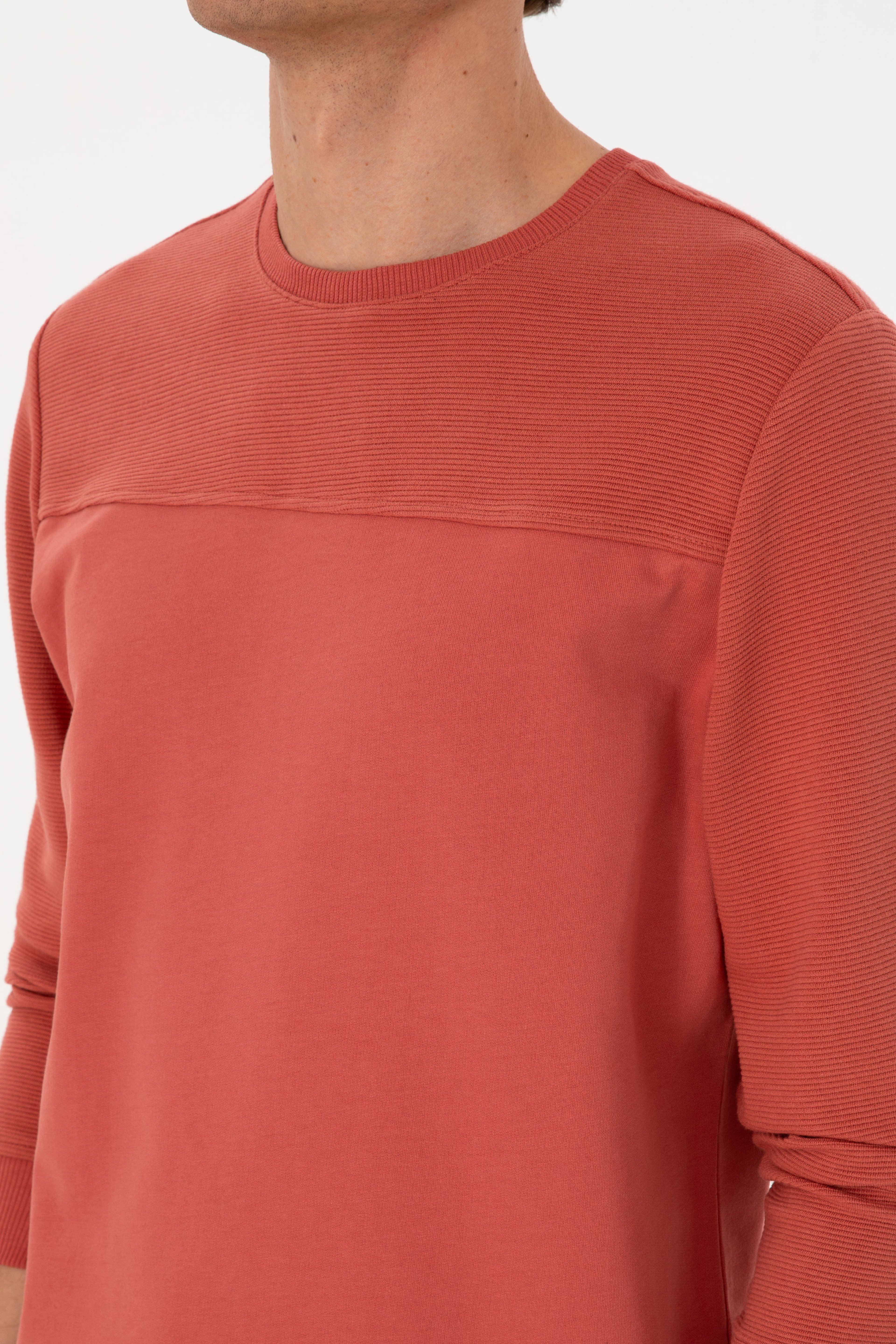 Erkek Regular Fit Bisiklet Yaka Gül Kurusu İnce Sweatshirt - Image 7