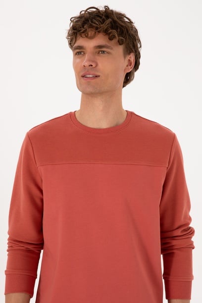 Erkek Regular Fit Bisiklet Yaka Gül Kurusu İnce Sweatshirt