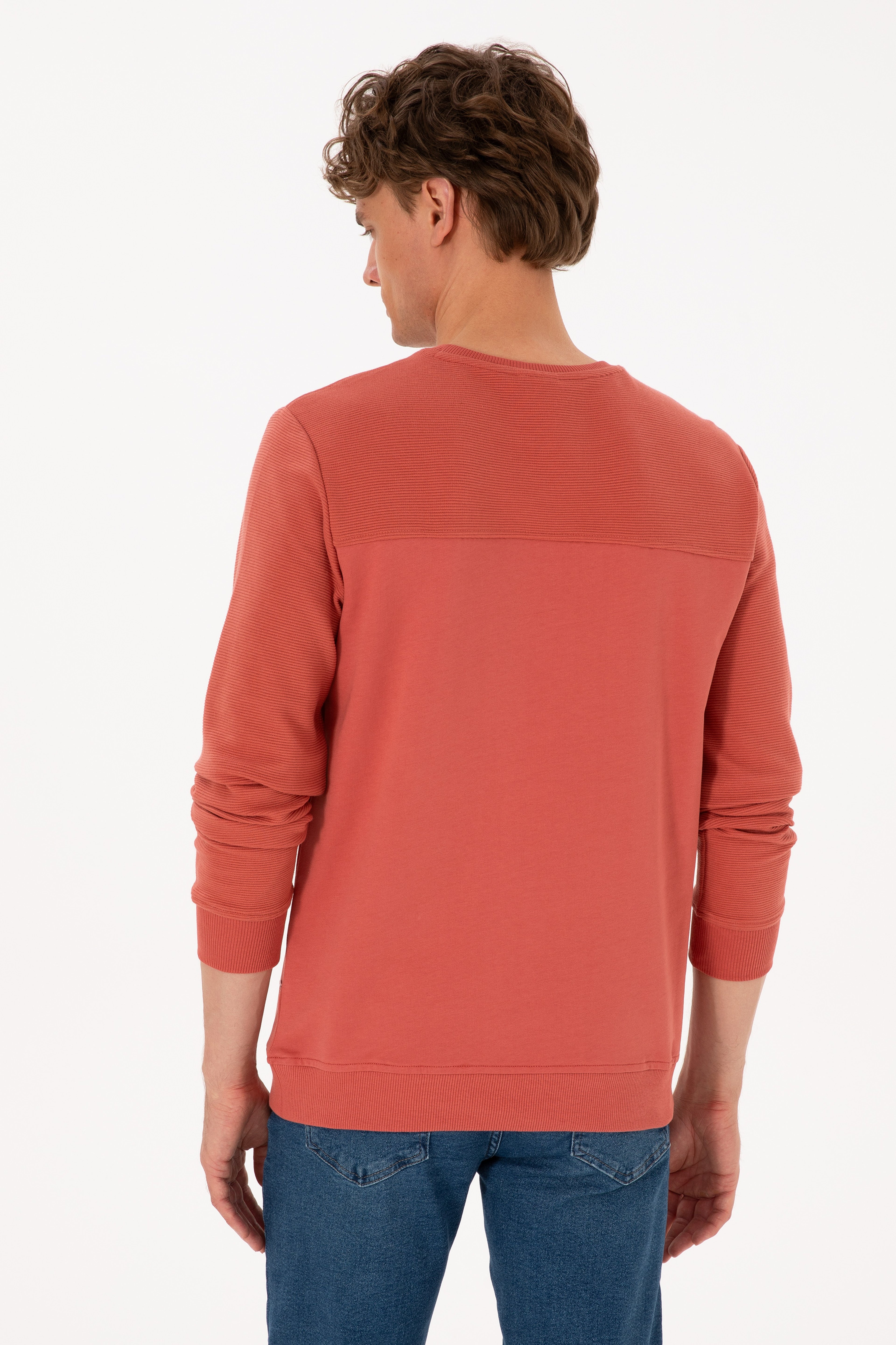 Erkek Regular Fit Bisiklet Yaka Gül Kurusu İnce Sweatshirt