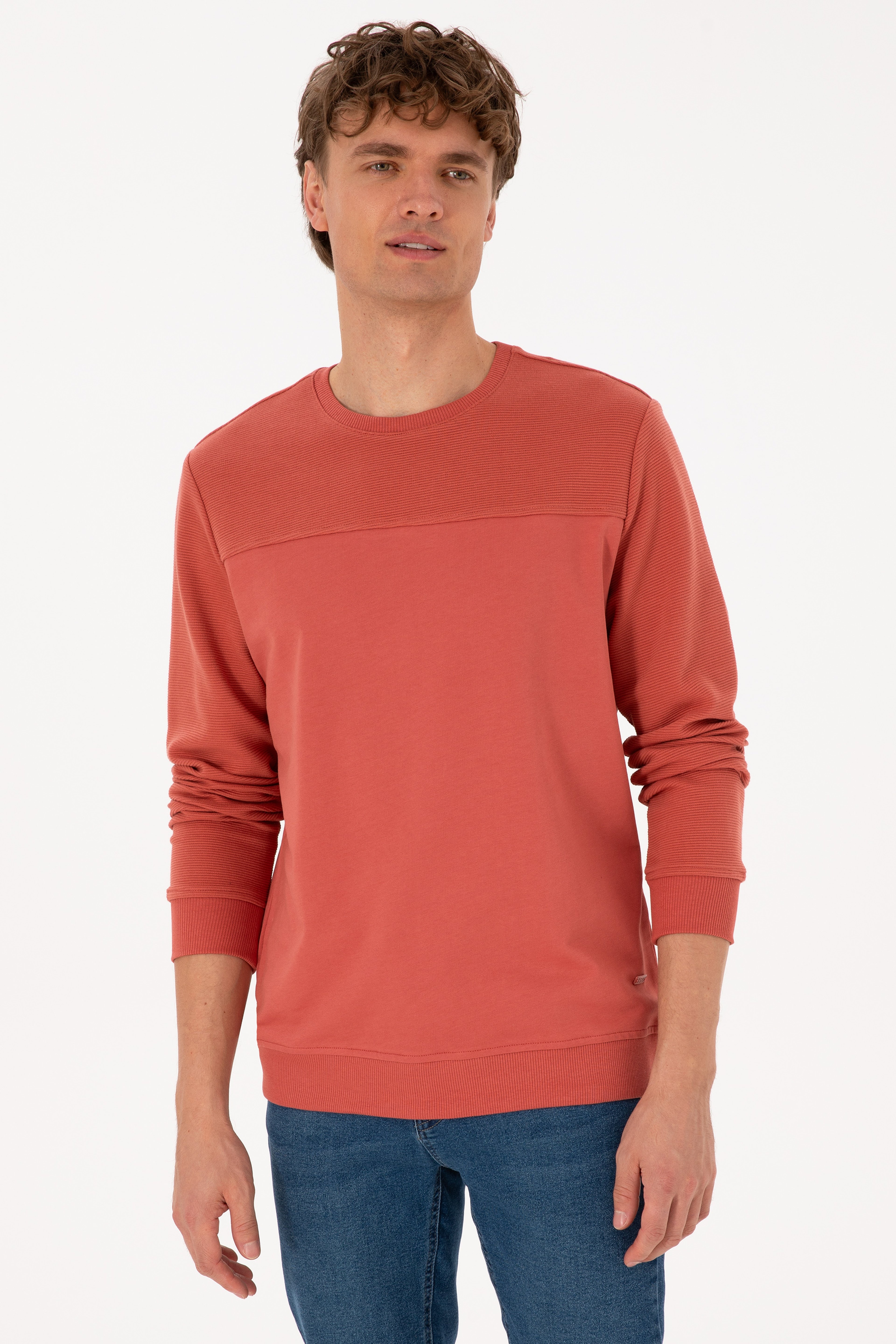 Erkek Regular Fit Bisiklet Yaka Gül Kurusu İnce Sweatshirt - Image 3