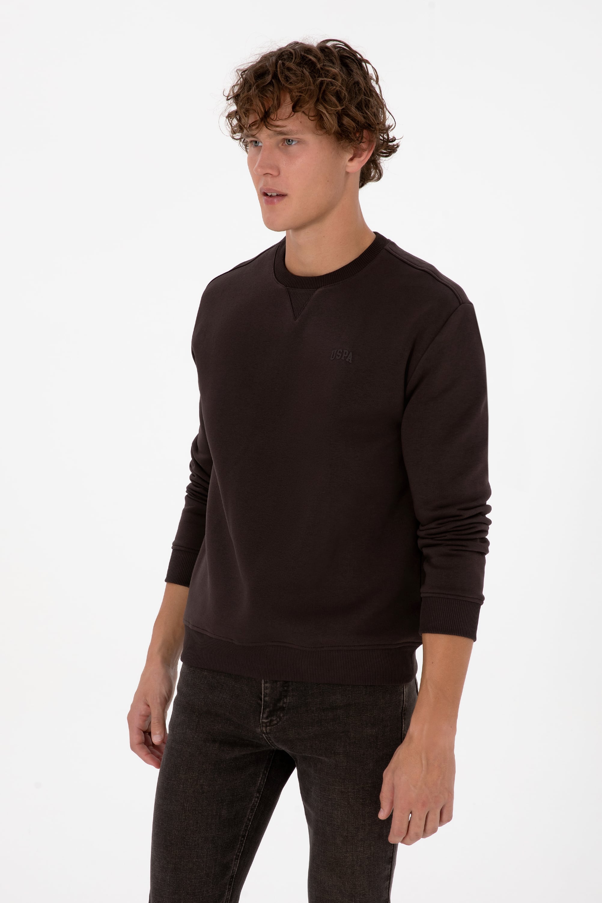 Erkek Comfort Fit Bisiklet Yaka Şardonlu Kahverengi Basic Sweatshirt