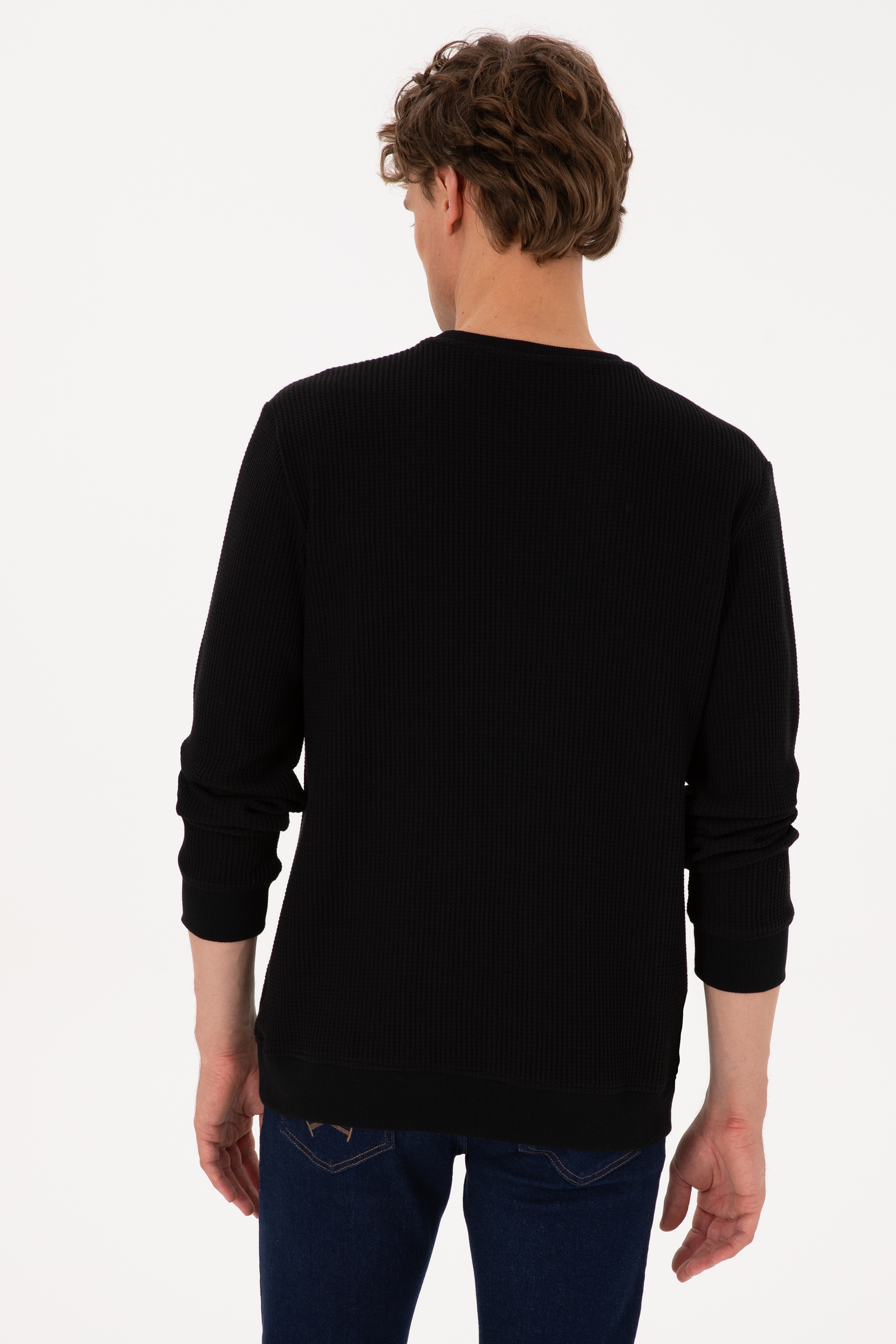 Erkek Bisiklet Yaka Regular Fit Petek Dokulu Siyah Sweatshirt