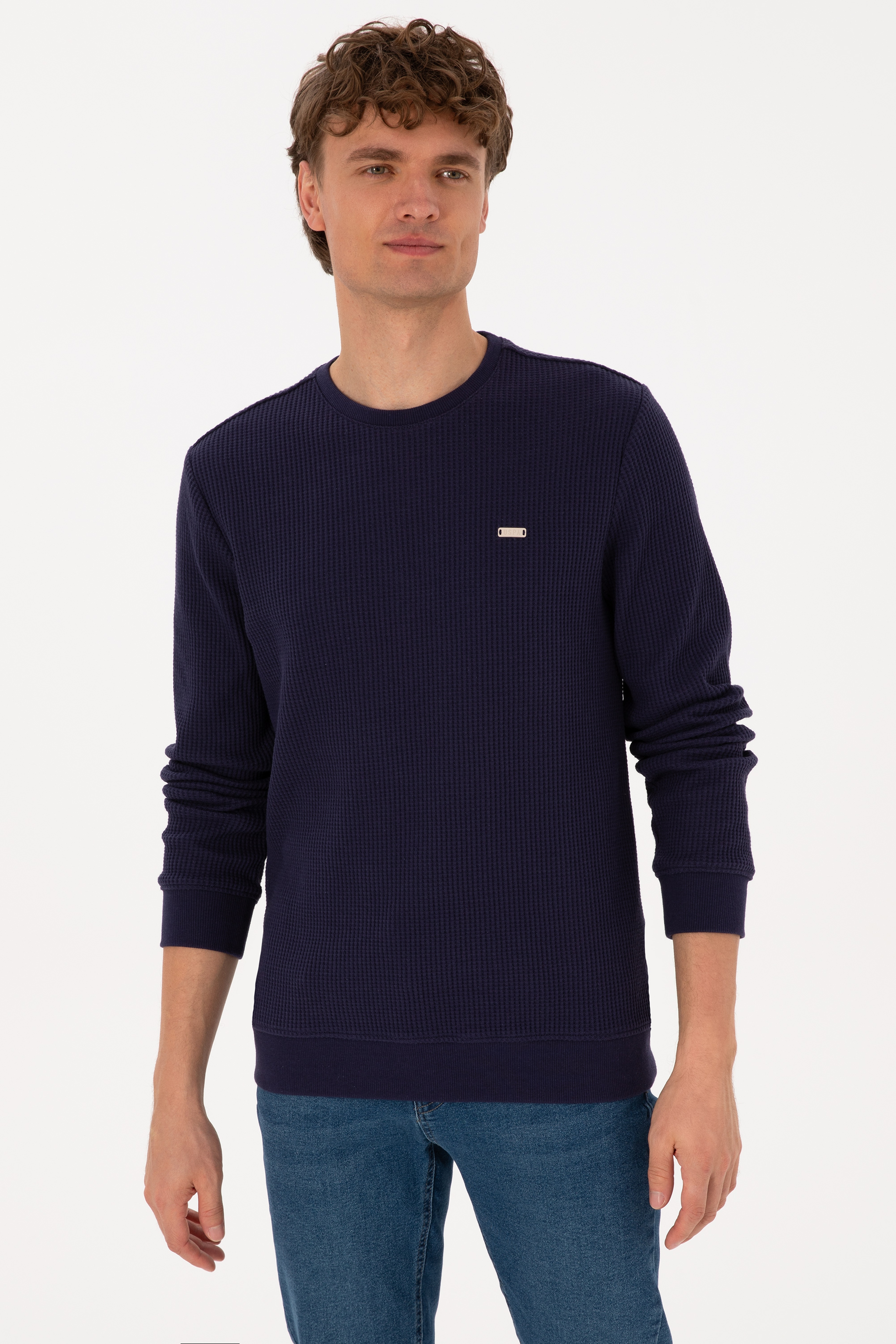 Erkek Bisiklet Yaka Regular Fit Petek Dokulu Mürdüm Sweatshirt - Image 1