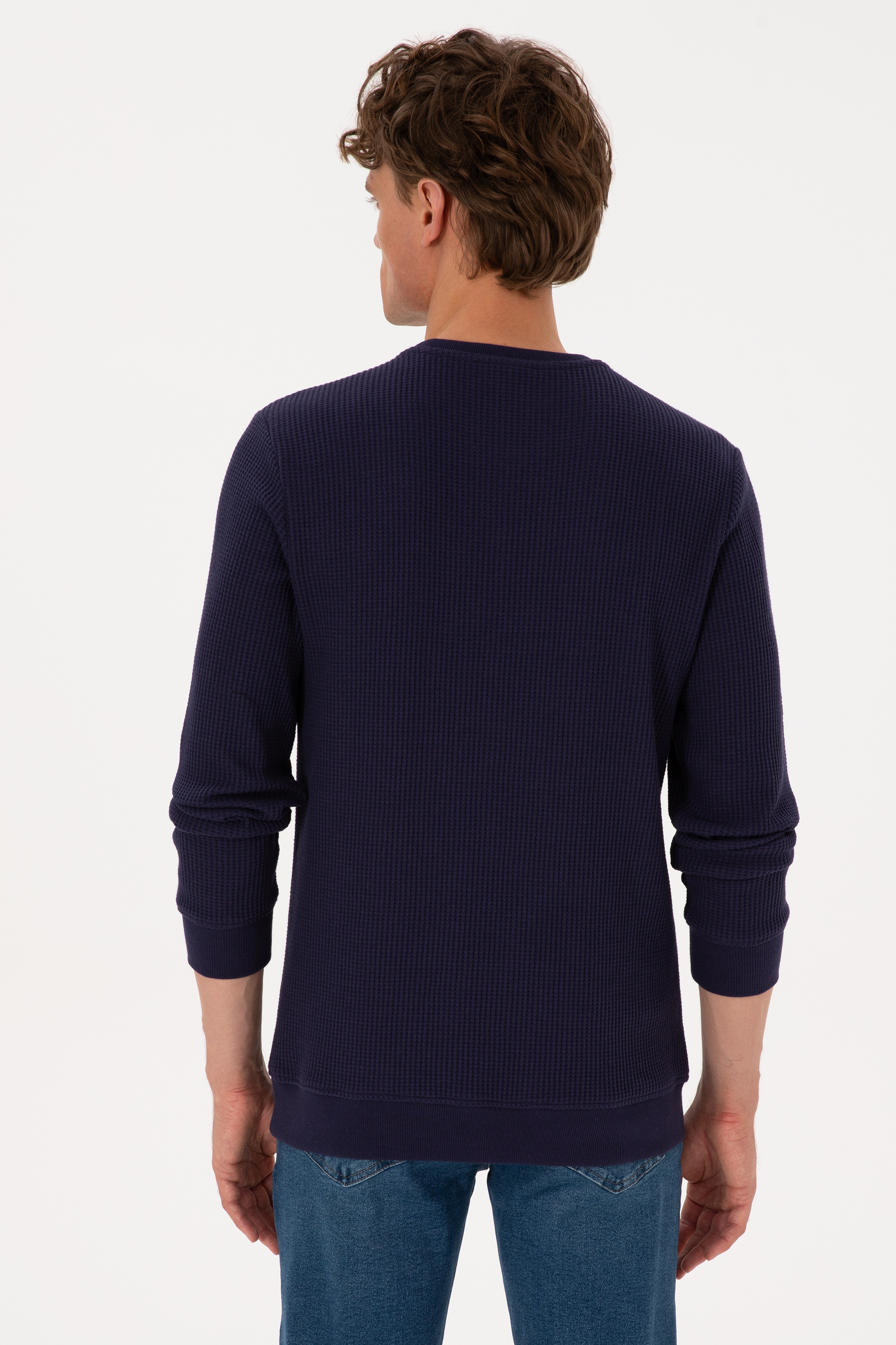 Erkek Bisiklet Yaka Regular Fit Petek Dokulu Mürdüm Sweatshirt - Image 5