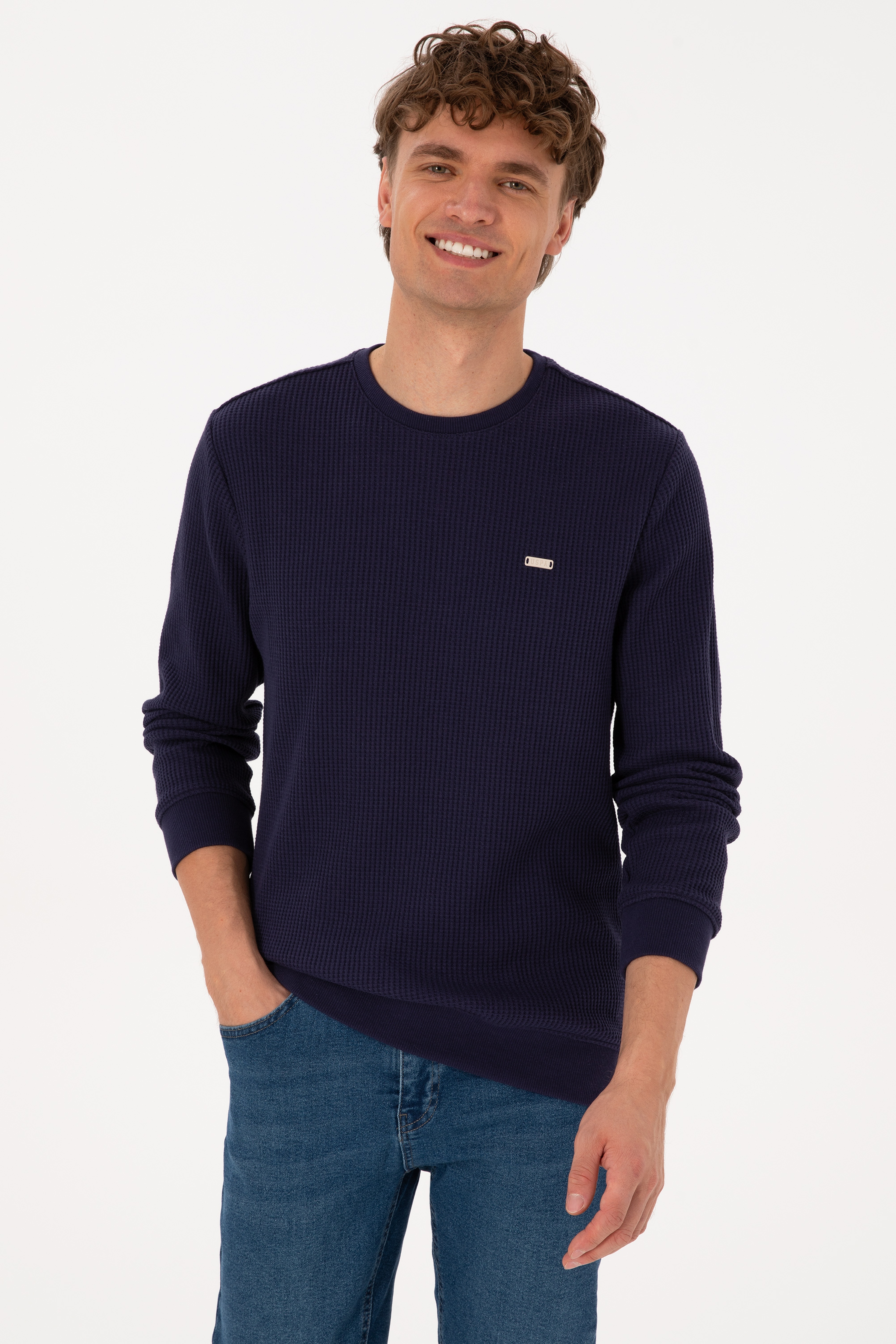 Erkek Bisiklet Yaka Regular Fit Petek Dokulu Mürdüm Sweatshirt