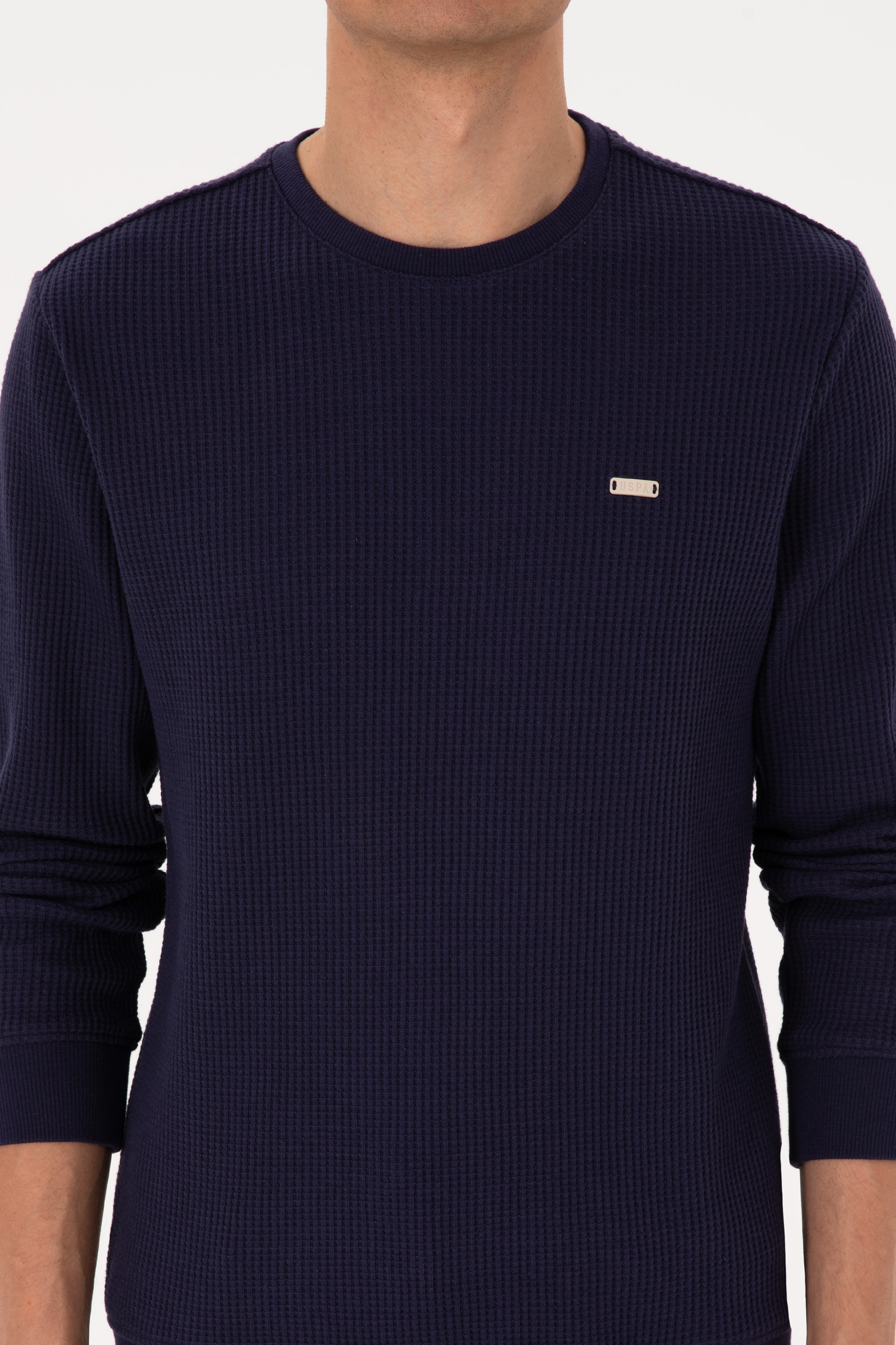 Erkek Bisiklet Yaka Regular Fit Petek Dokulu Mürdüm Sweatshirt