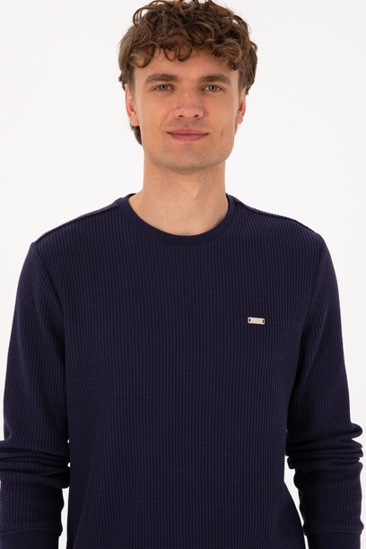 Erkek Bisiklet Yaka Regular Fit Petek Dokulu Mürdüm Sweatshirt