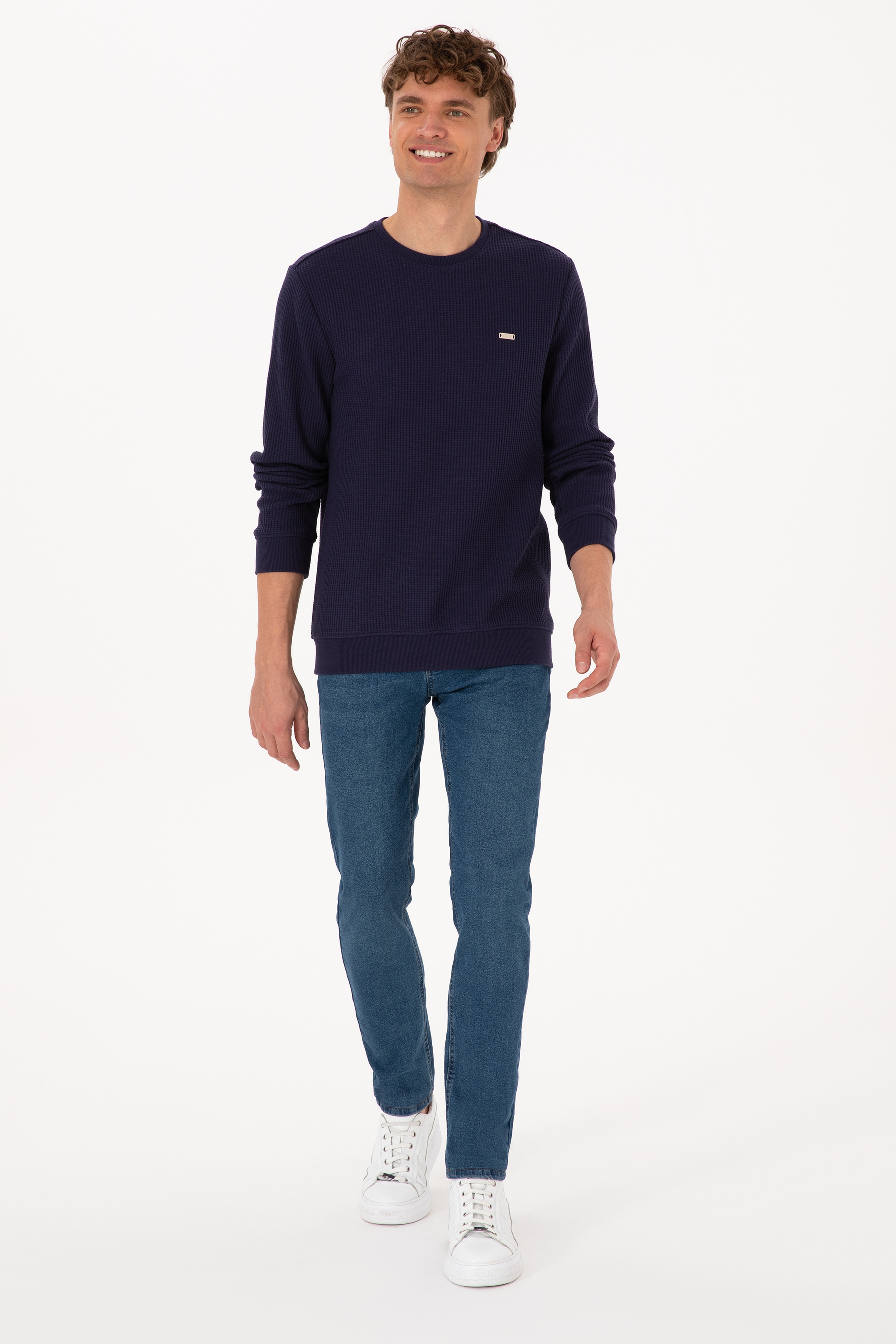 Erkek Bisiklet Yaka Regular Fit Petek Dokulu Mürdüm Sweatshirt - Image 4