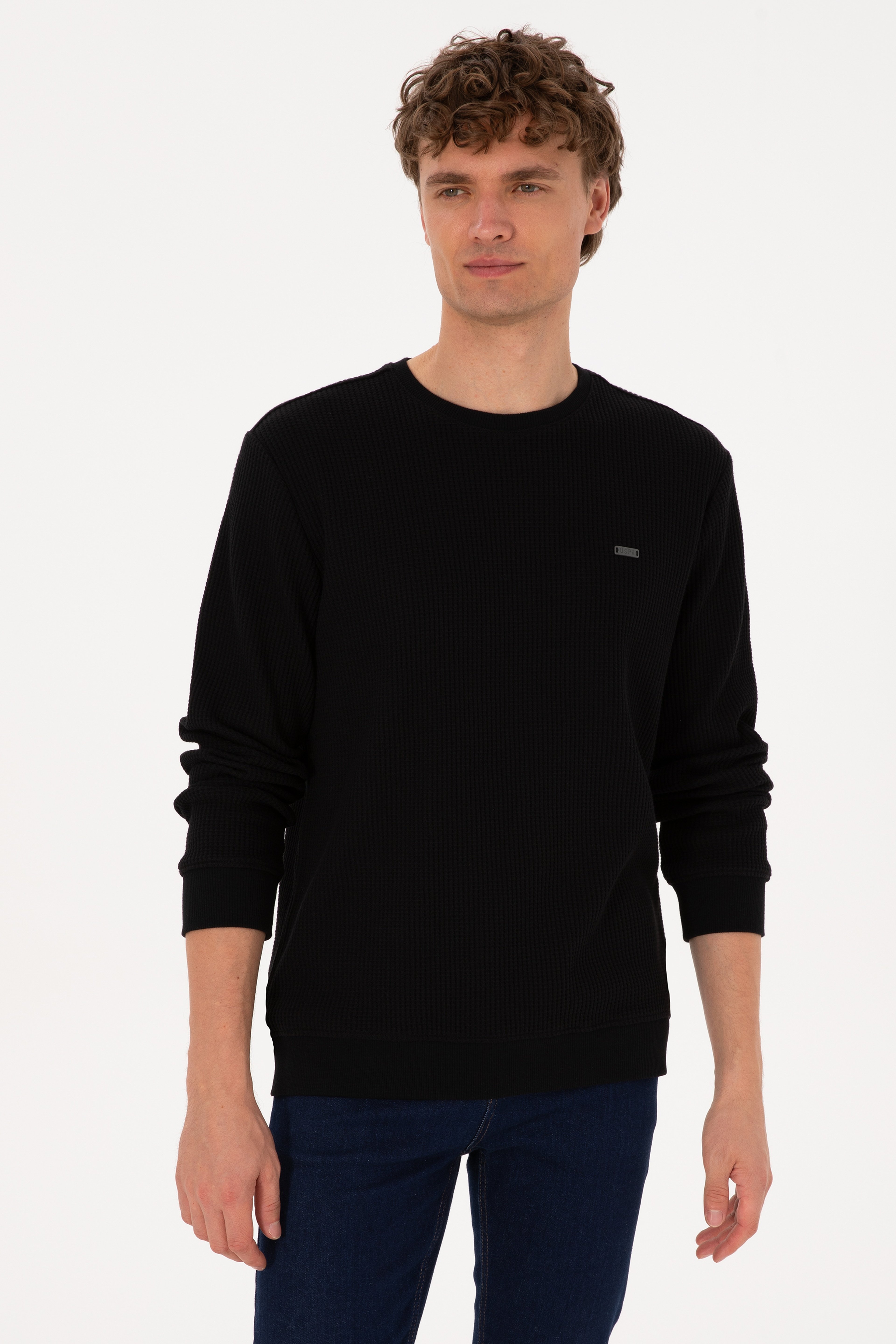 Erkek Bisiklet Yaka Regular Fit Petek Dokulu Siyah Sweatshirt