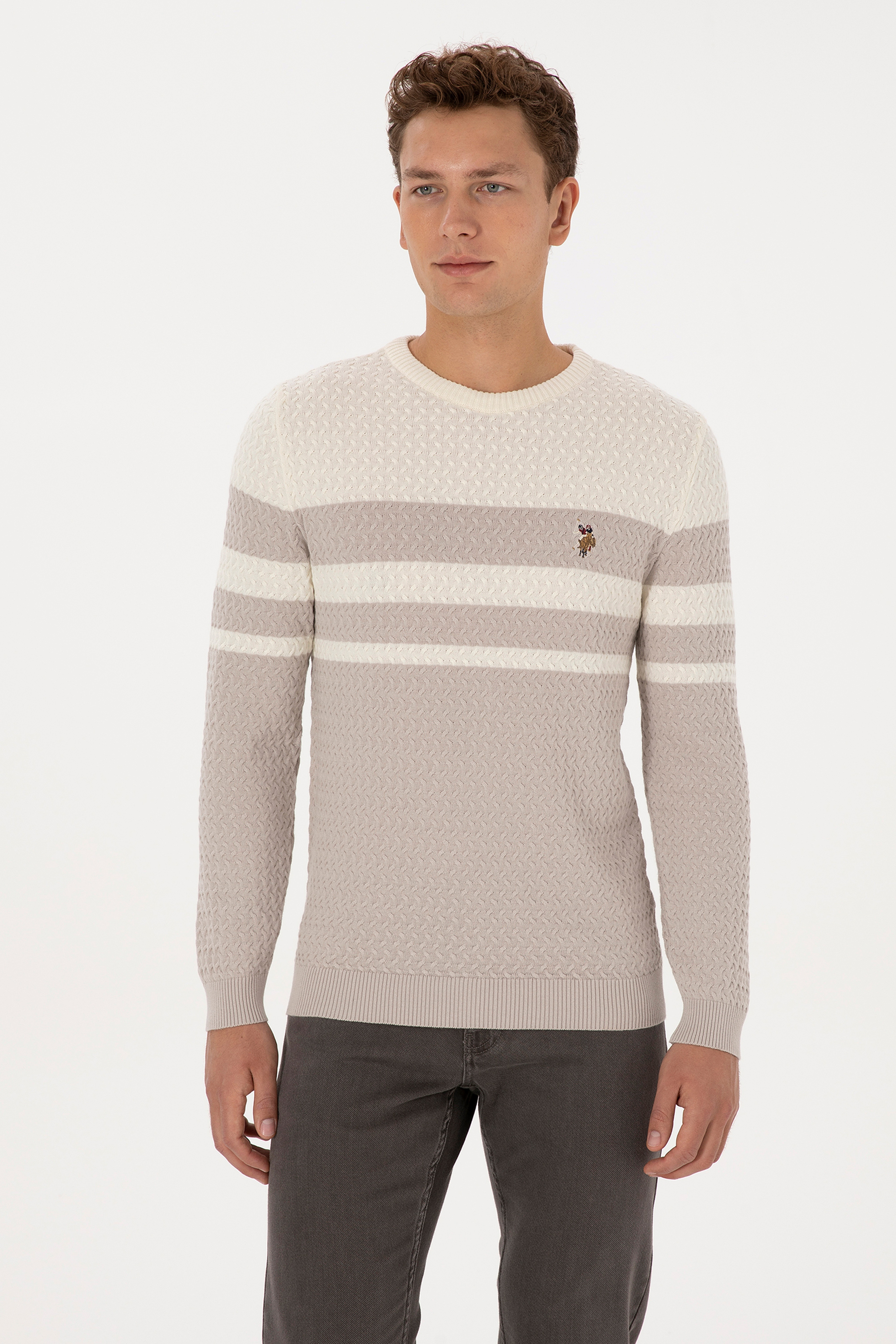 Erkek Slim Fit Bisiklet Yaka Taş Kazak