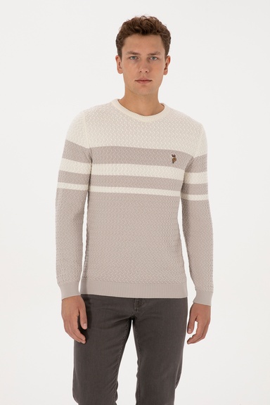 Erkek Slim Fit Bisiklet Yaka Taş Kazak