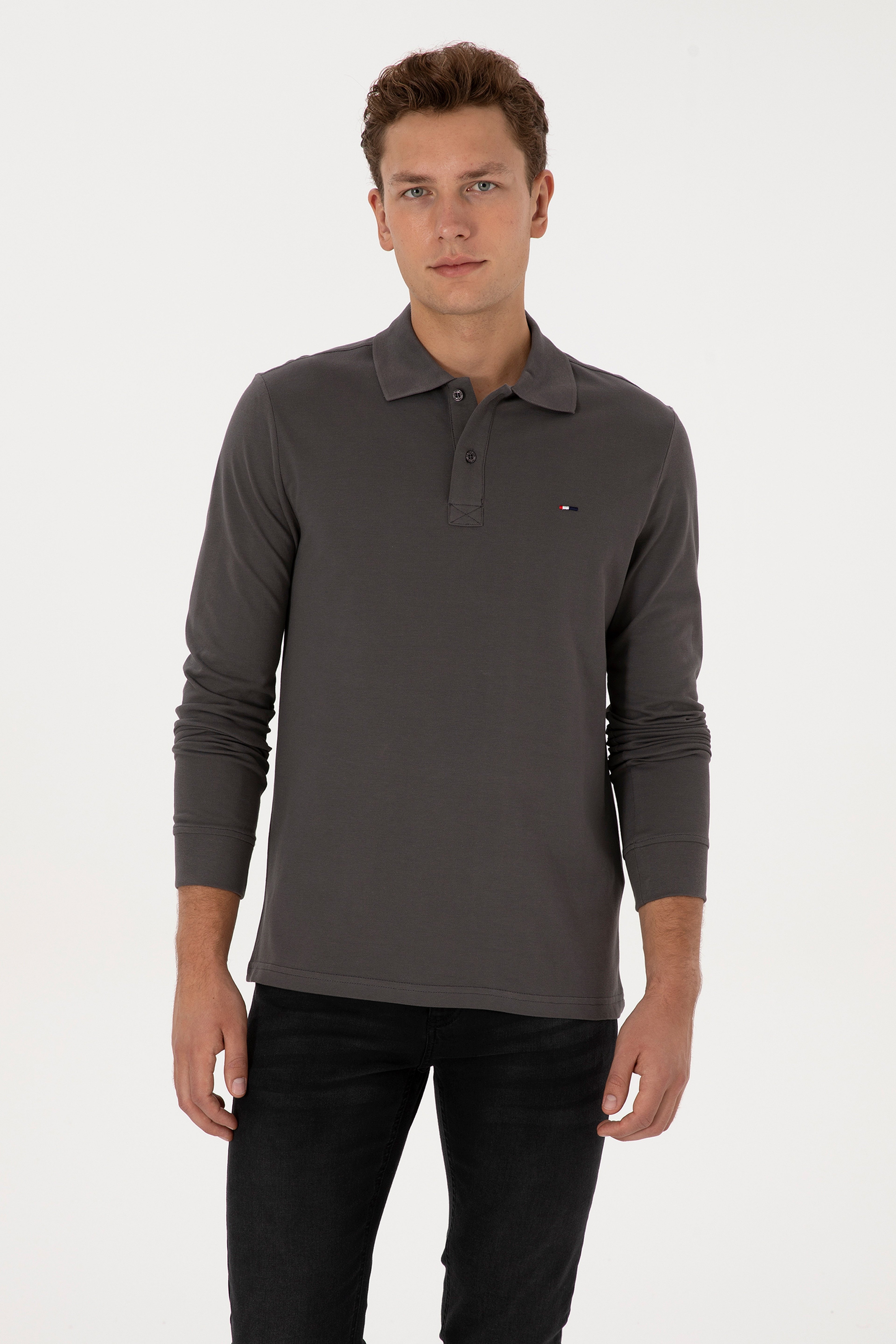 Erkek Regular Fit Polo Yaka Gri Basic Sweatshirt - Image 3