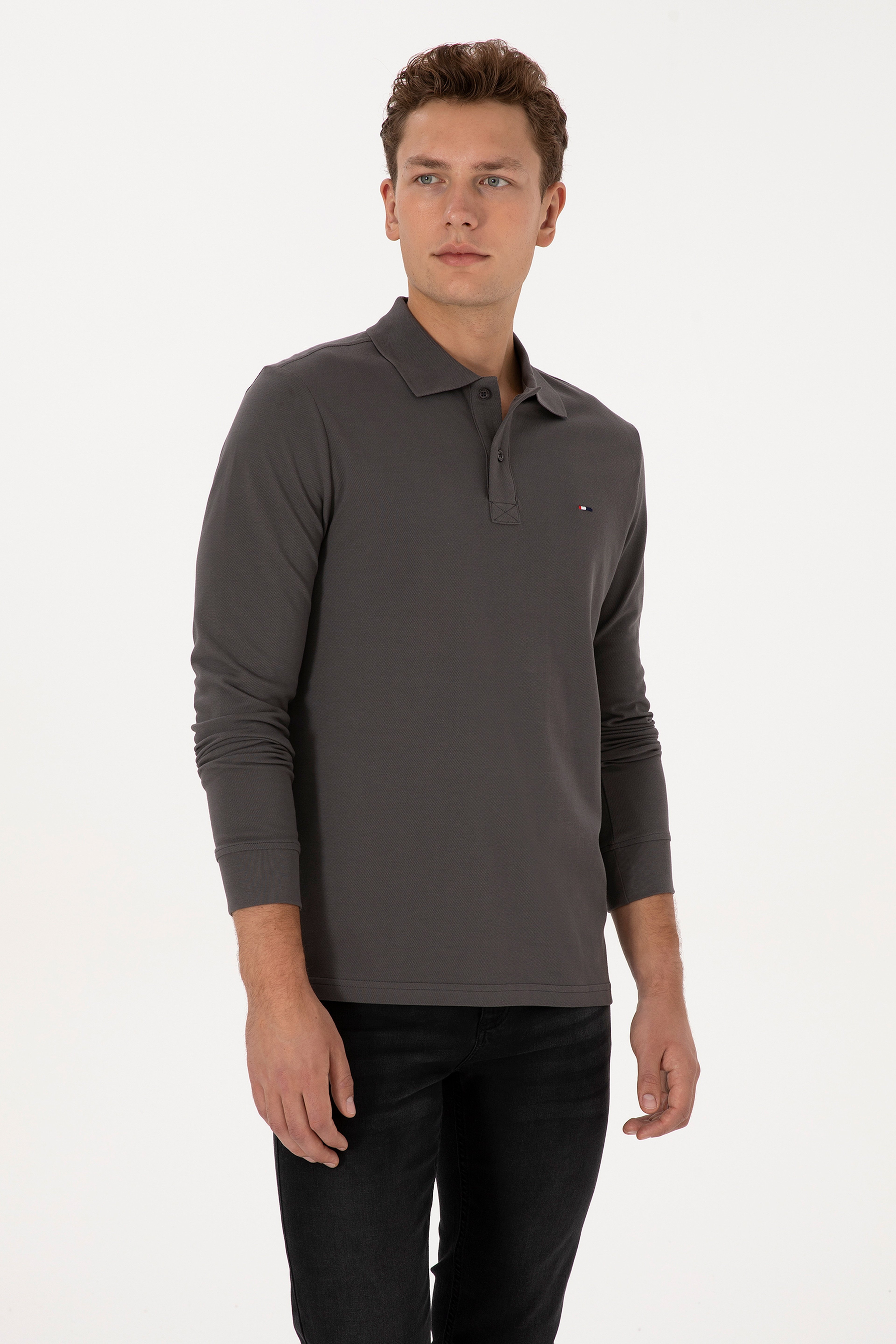Erkek Regular Fit Polo Yaka Gri Basic Sweatshirt - Image 1