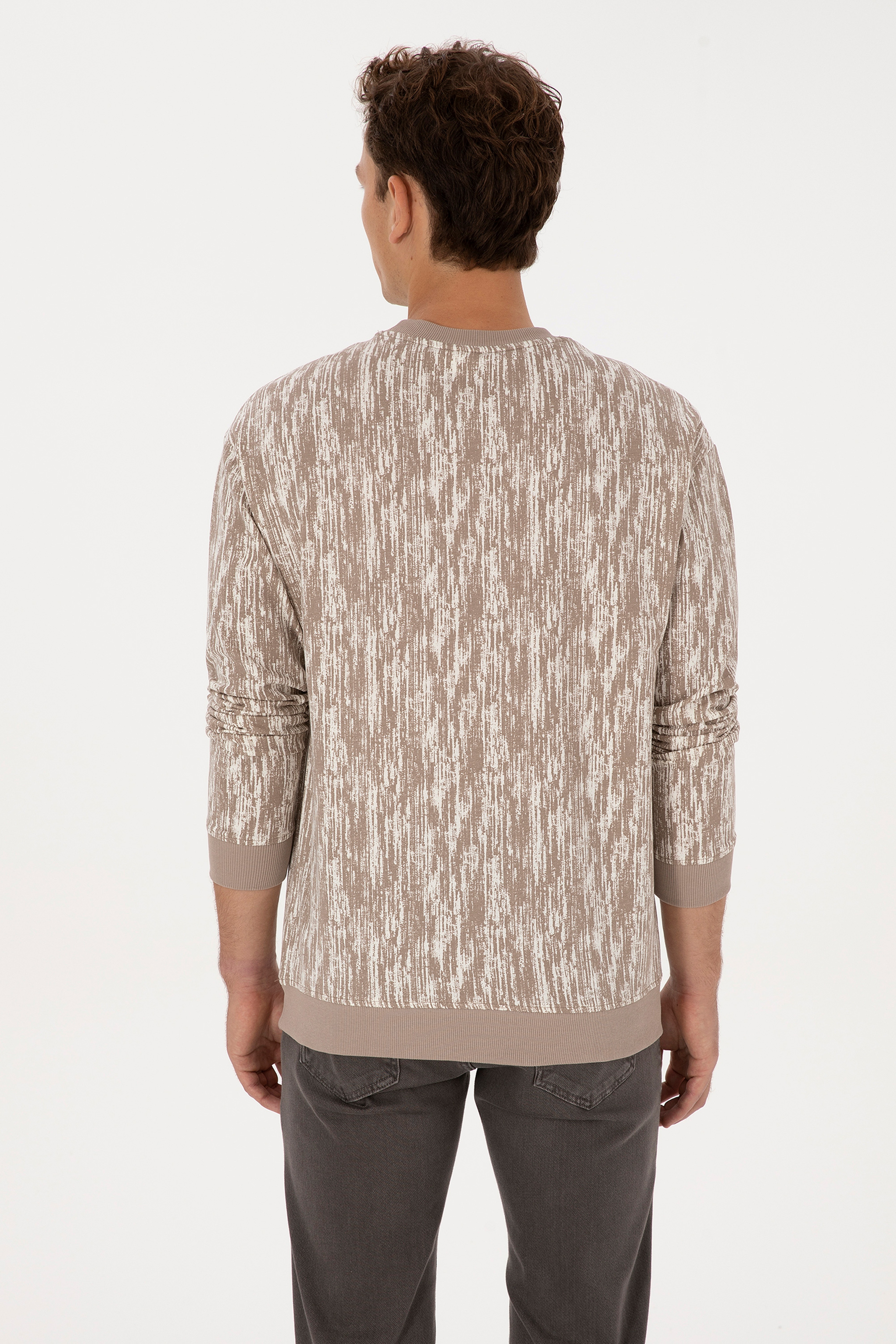 Erkek Regular Fit Bisiklet Yaka Koyu Bej Sweatshirt
