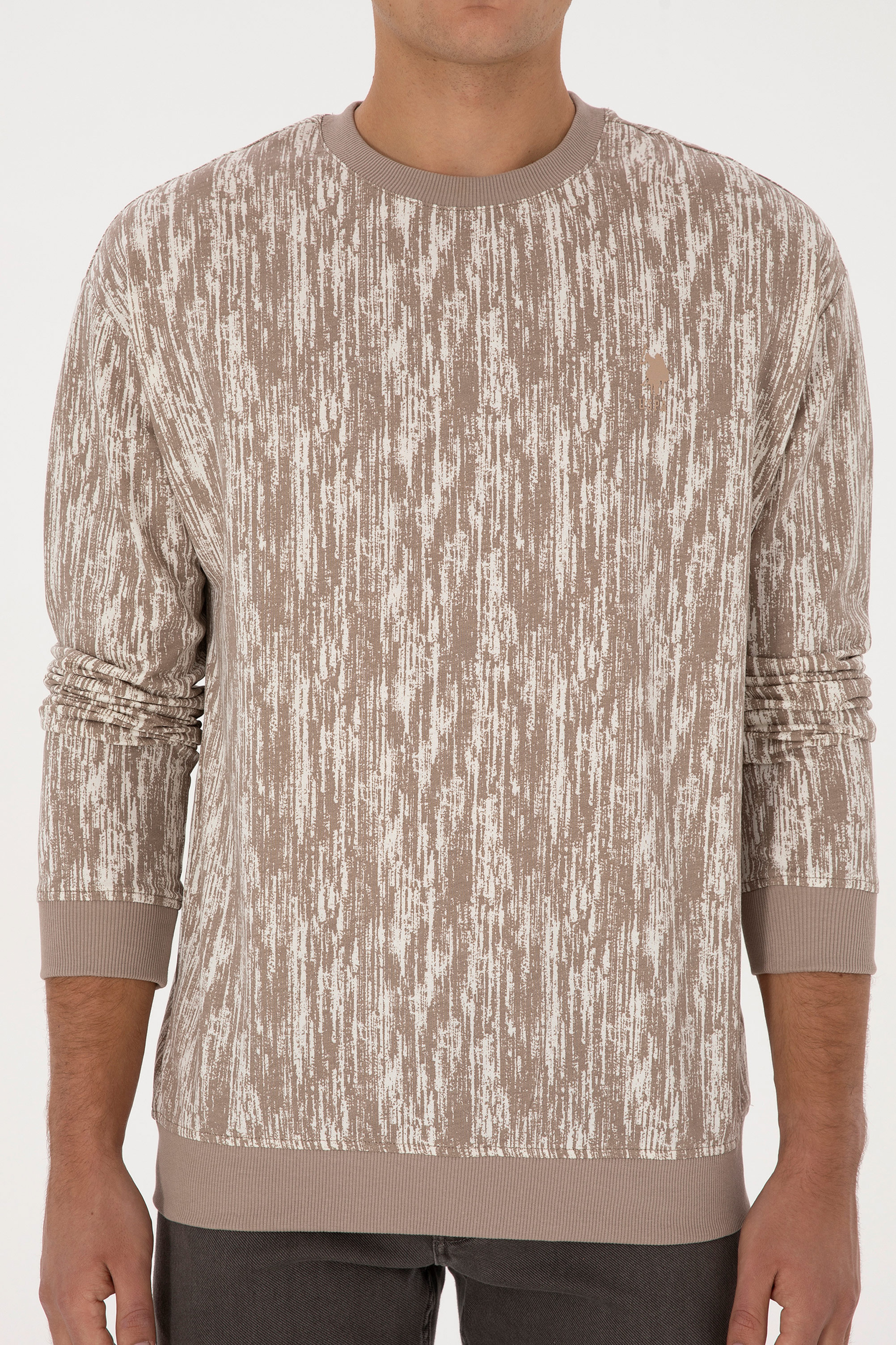 Erkek Regular Fit Bisiklet Yaka Koyu Bej Sweatshirt - Image 6