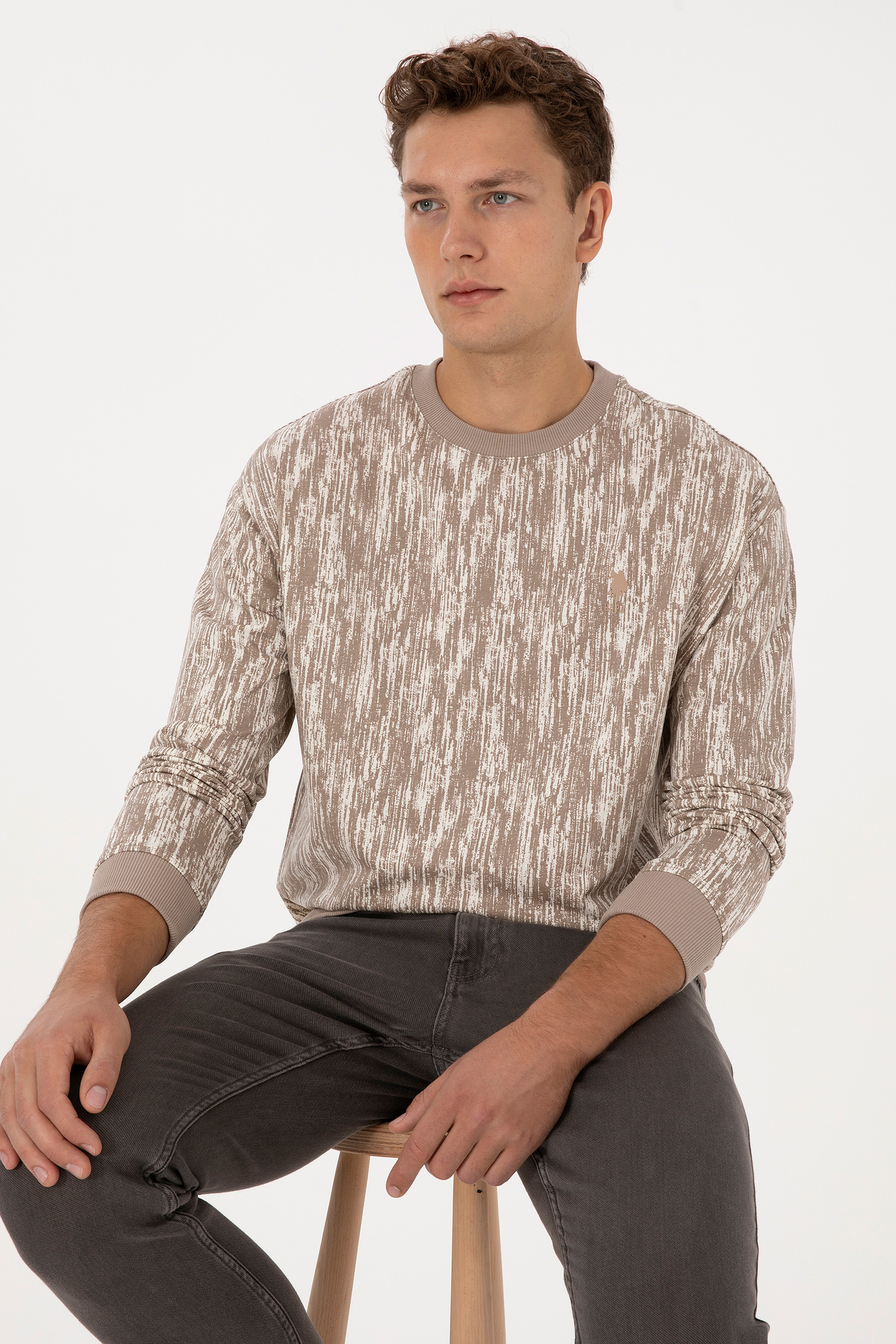 Erkek Regular Fit Bisiklet Yaka Koyu Bej Sweatshirt - Image 1