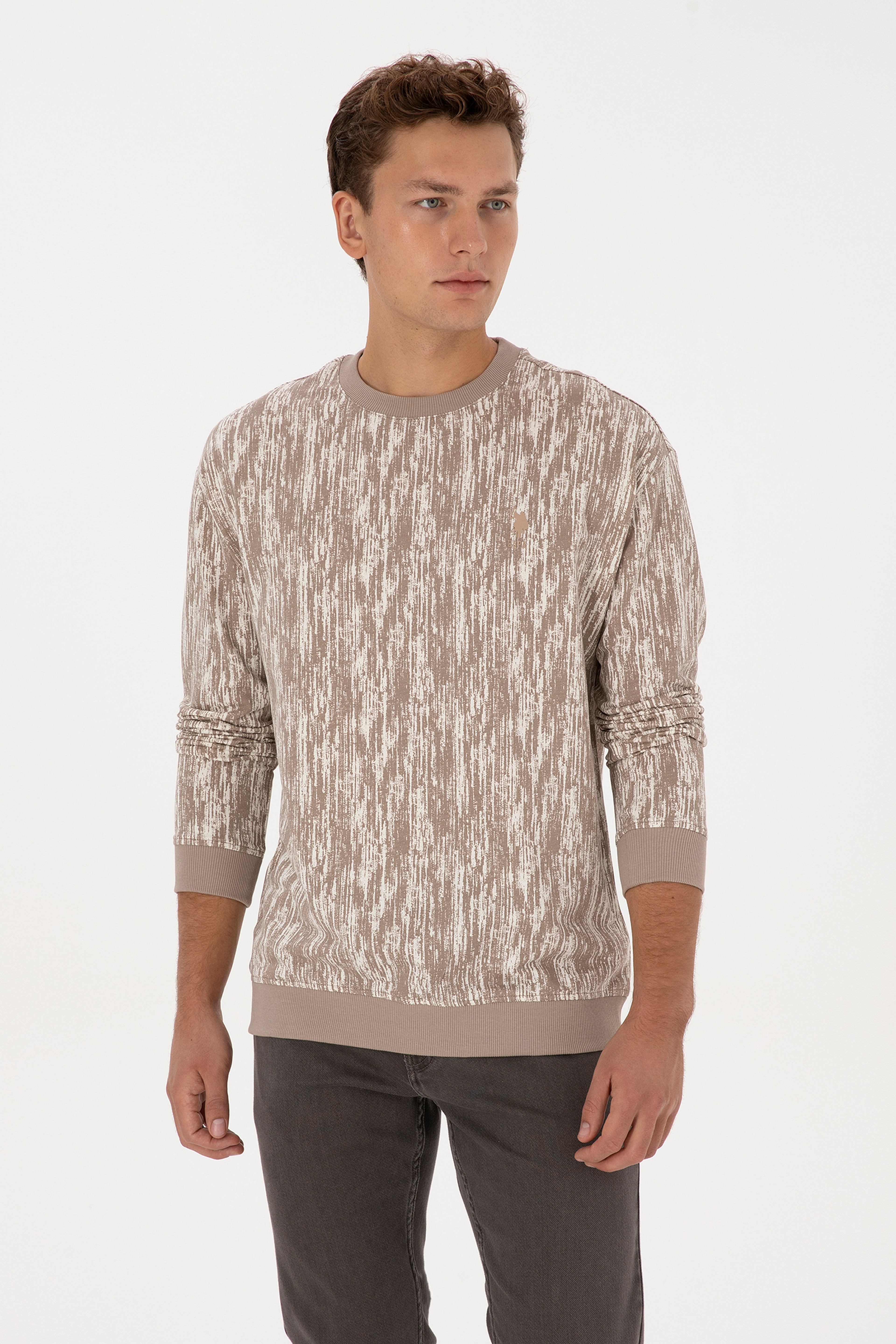 Erkek Regular Fit Bisiklet Yaka Koyu Bej Sweatshirt - Image 3