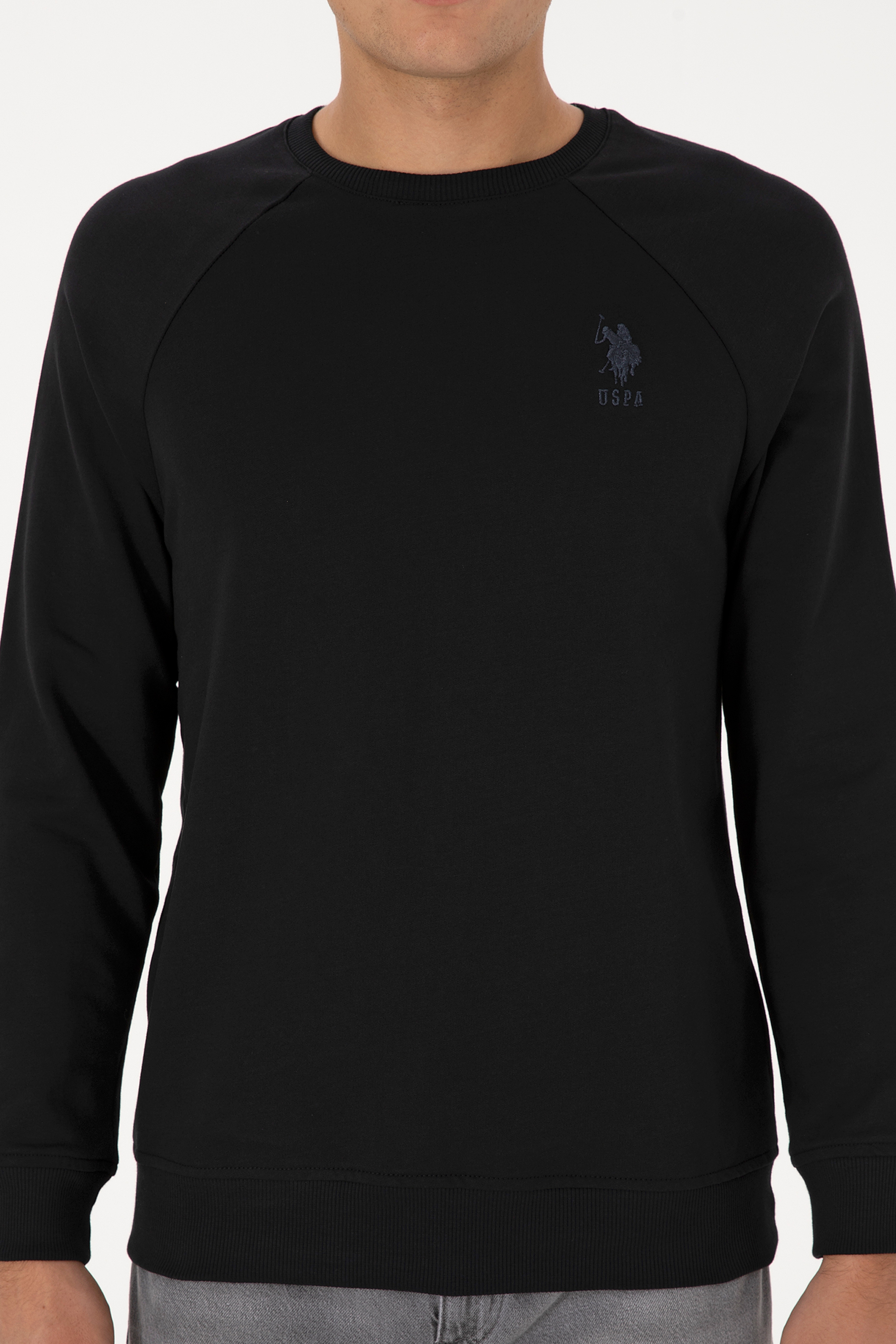 Erkek Regular Fit Bisiklet Yaka Siyah Basic Sweatshirt - Image 6