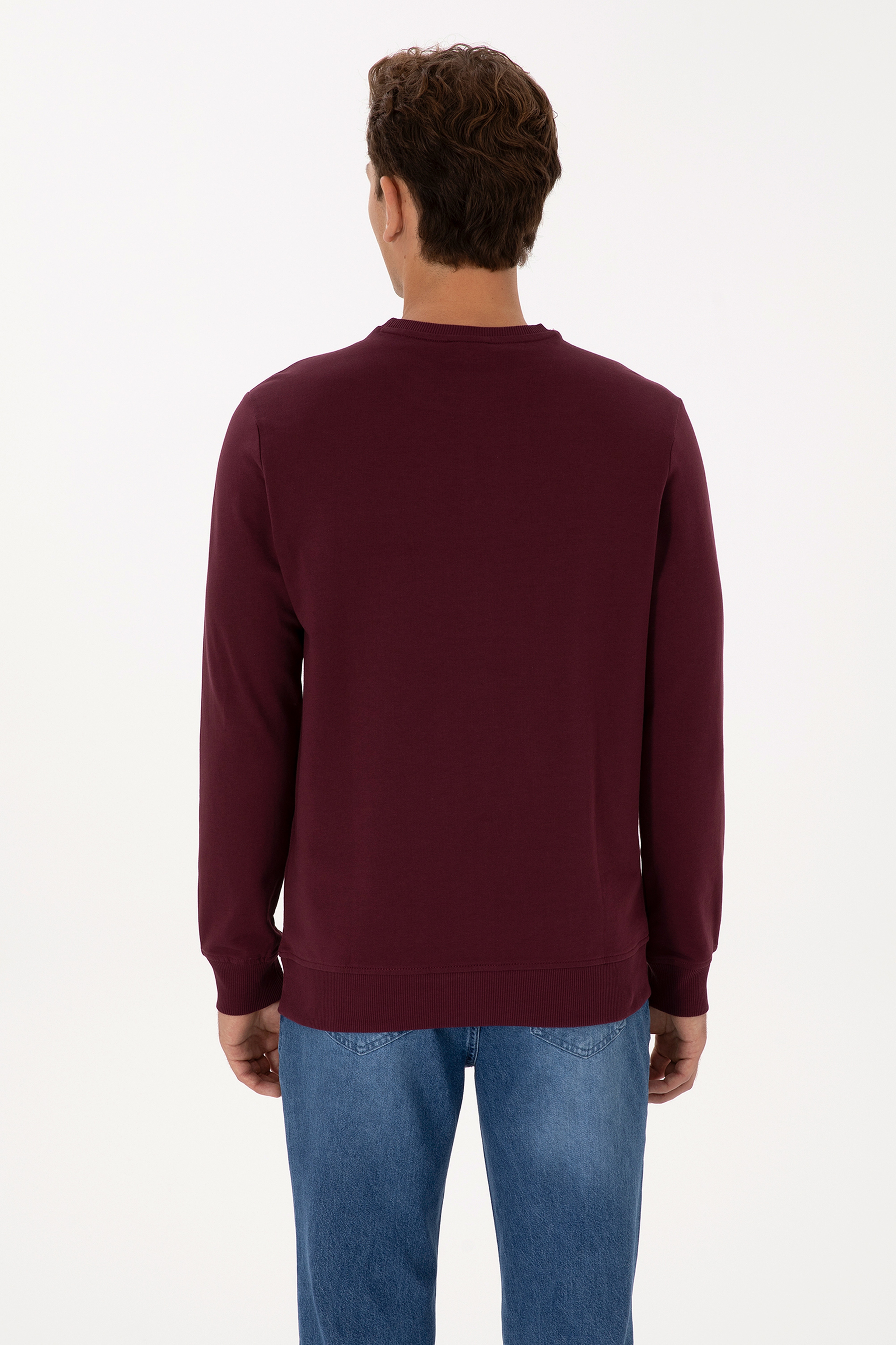 Erkek Regular Fit Bisiklet Yaka Bordo Basic Sweatshirt - Image 5