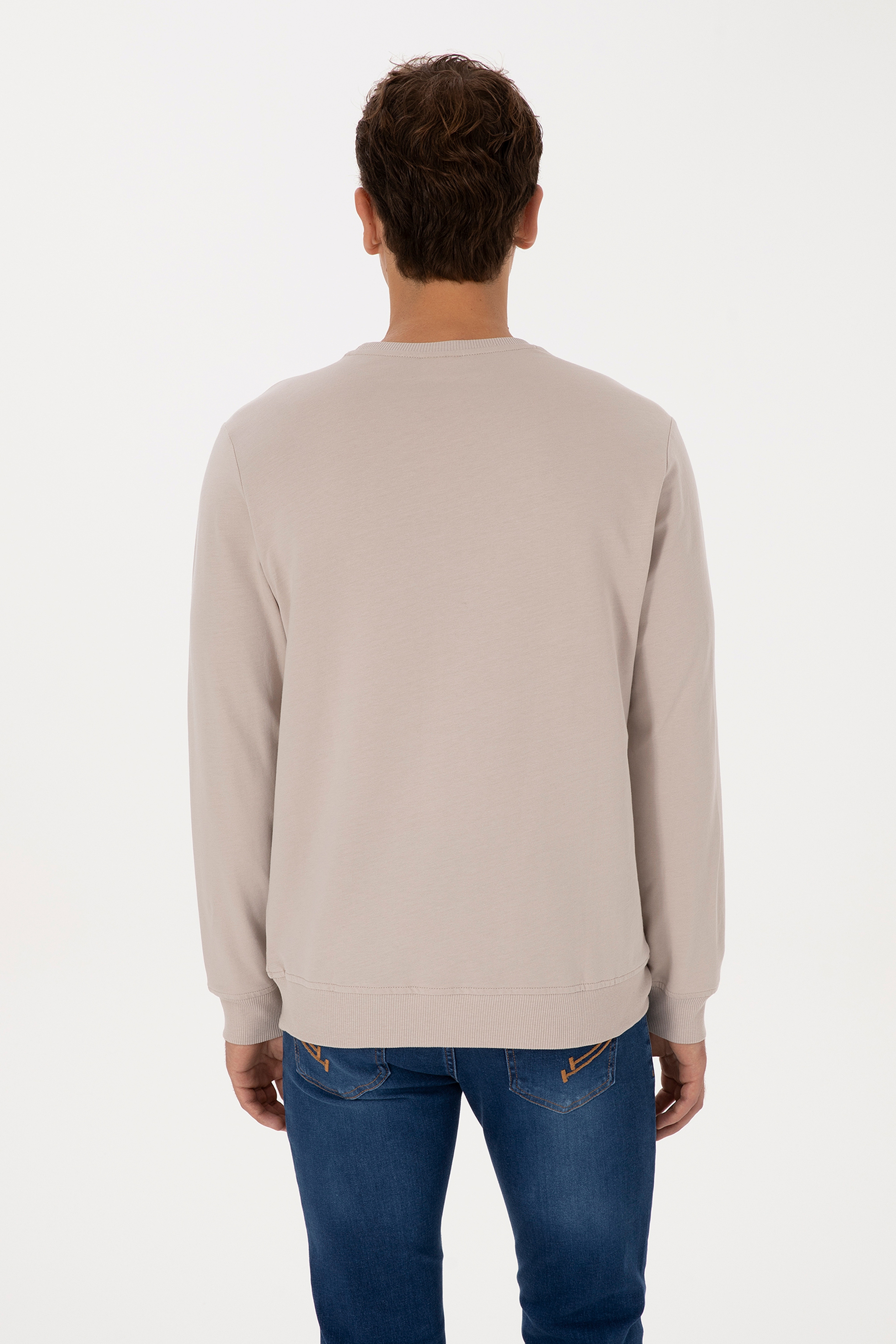 Erkek Regular Fit Bisiklet Yaka Taş Basic Sweatshirt - Image 5