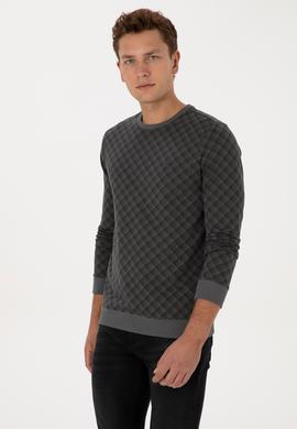 Erkek Regular Fit Bisiklet Yaka Antrasit Sweatshirt - 50309993039