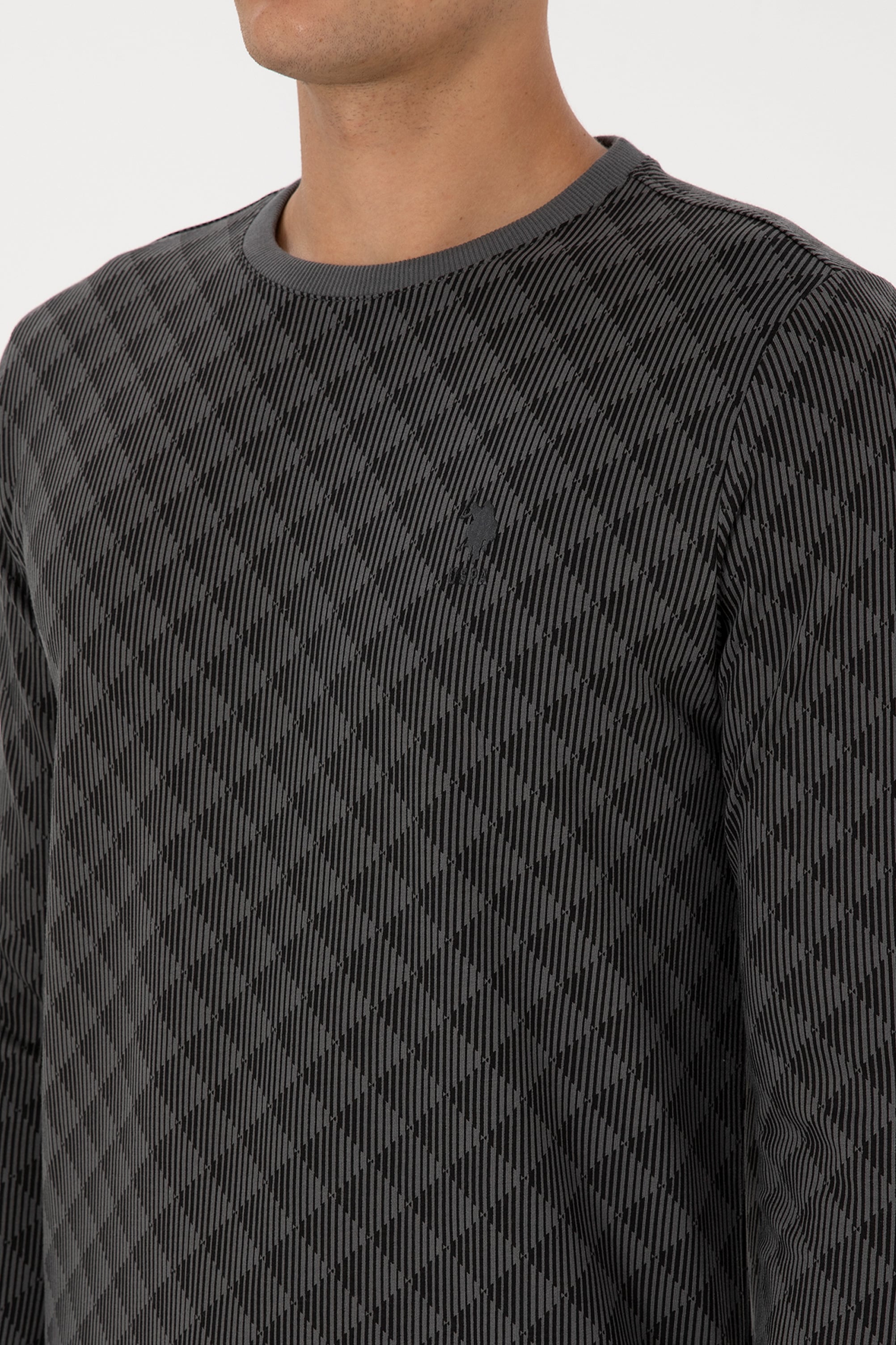 Erkek Regular Fit Bisiklet Yaka Antrasit Sweatshirt