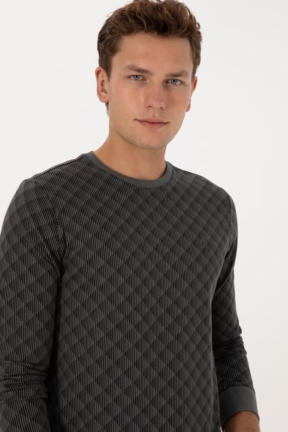 Erkek Regular Fit Bisiklet Yaka Antrasit Sweatshirt