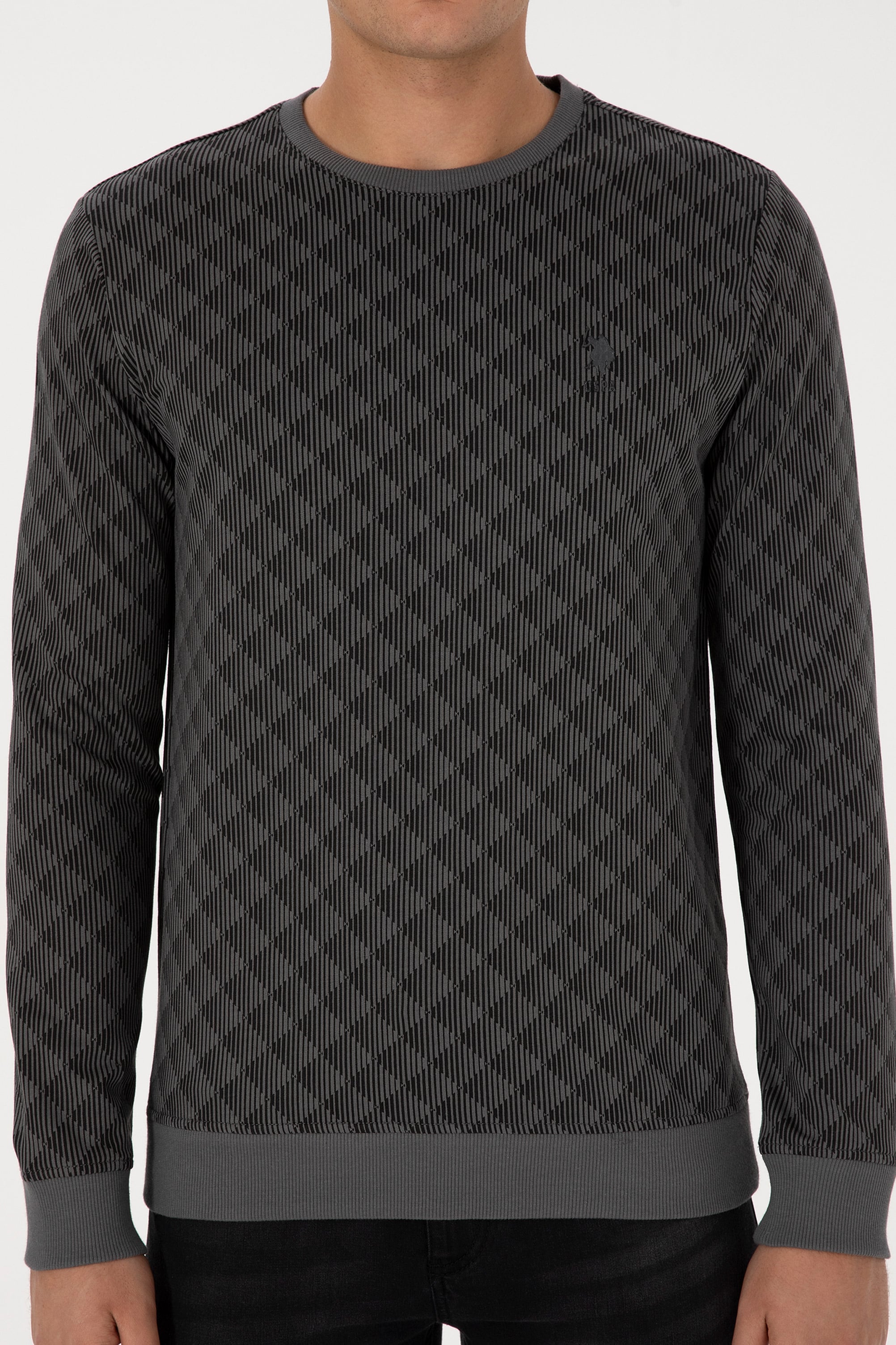 Erkek Regular Fit Bisiklet Yaka Antrasit Sweatshirt